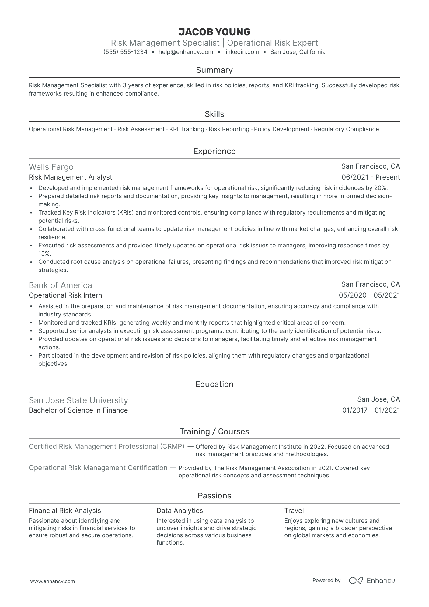 Operational Risk Analyst resume example