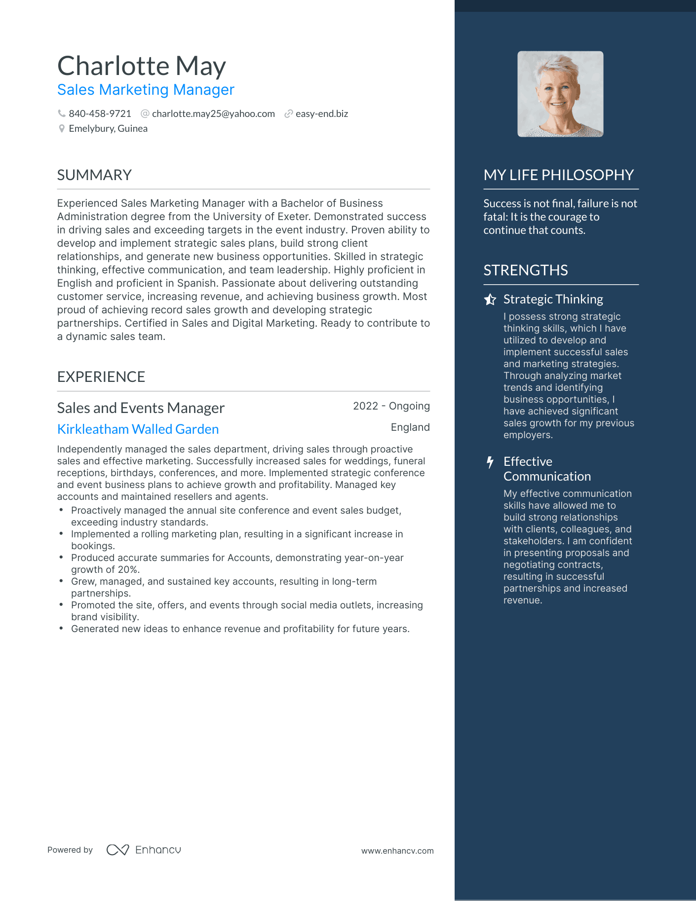 Sales Marketing Manager resume example