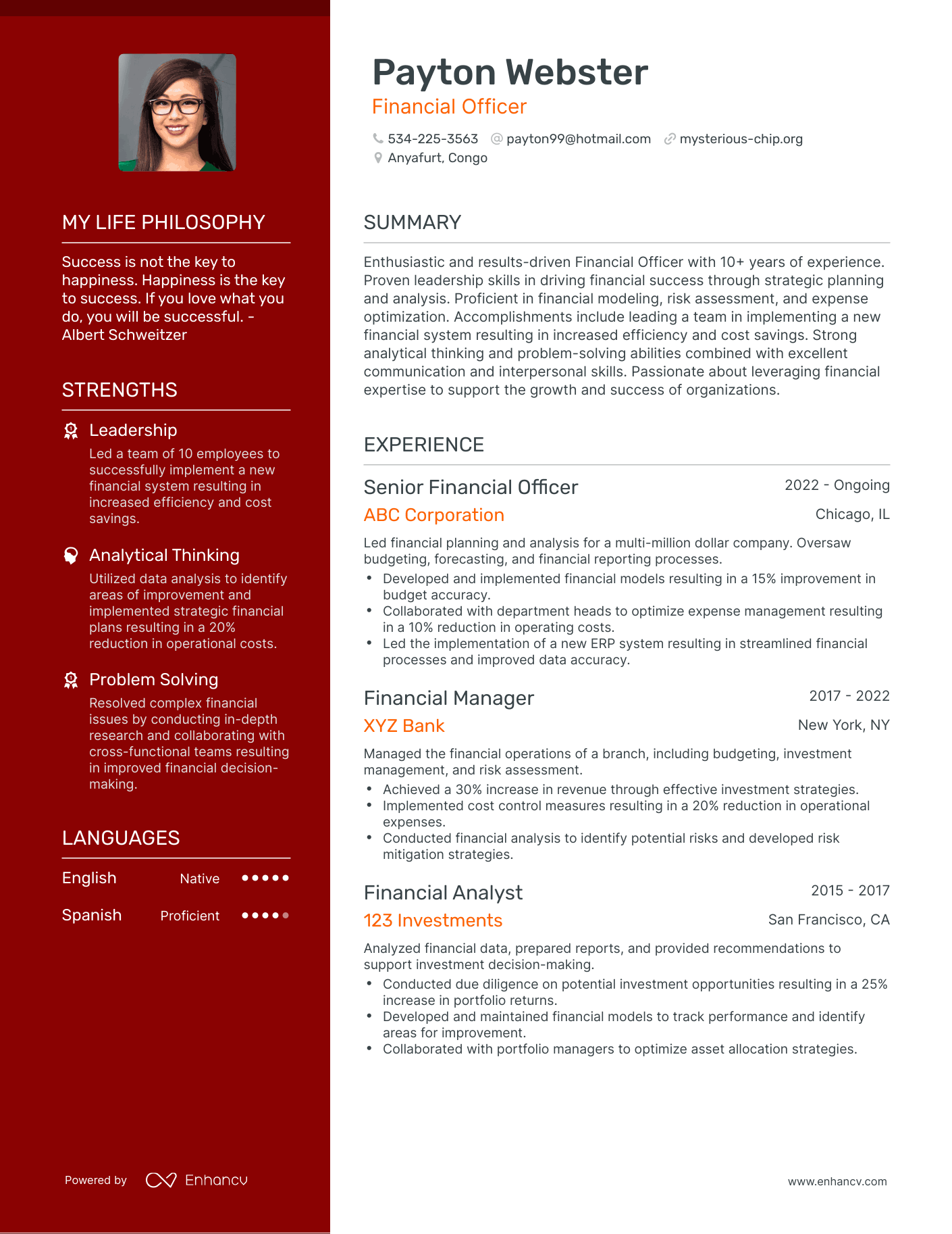 Creative Financial Officer Resume Example