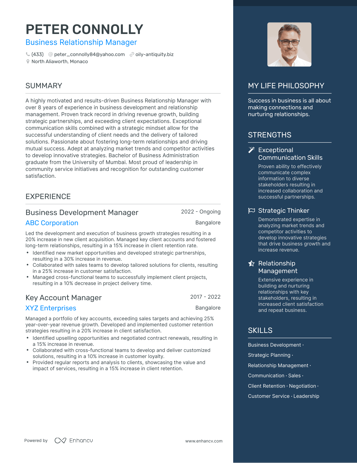 Modern Business Relationship Manager Resume Example