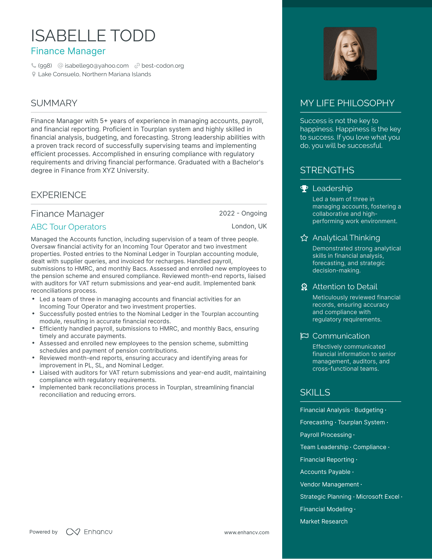 Modern Finance Manager Resume Example
