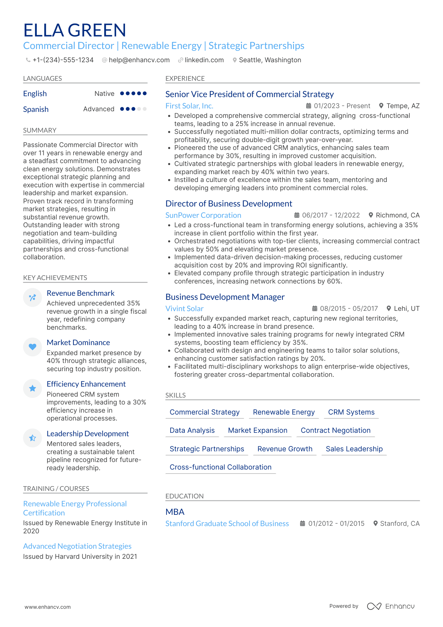 Commercial Director resume example