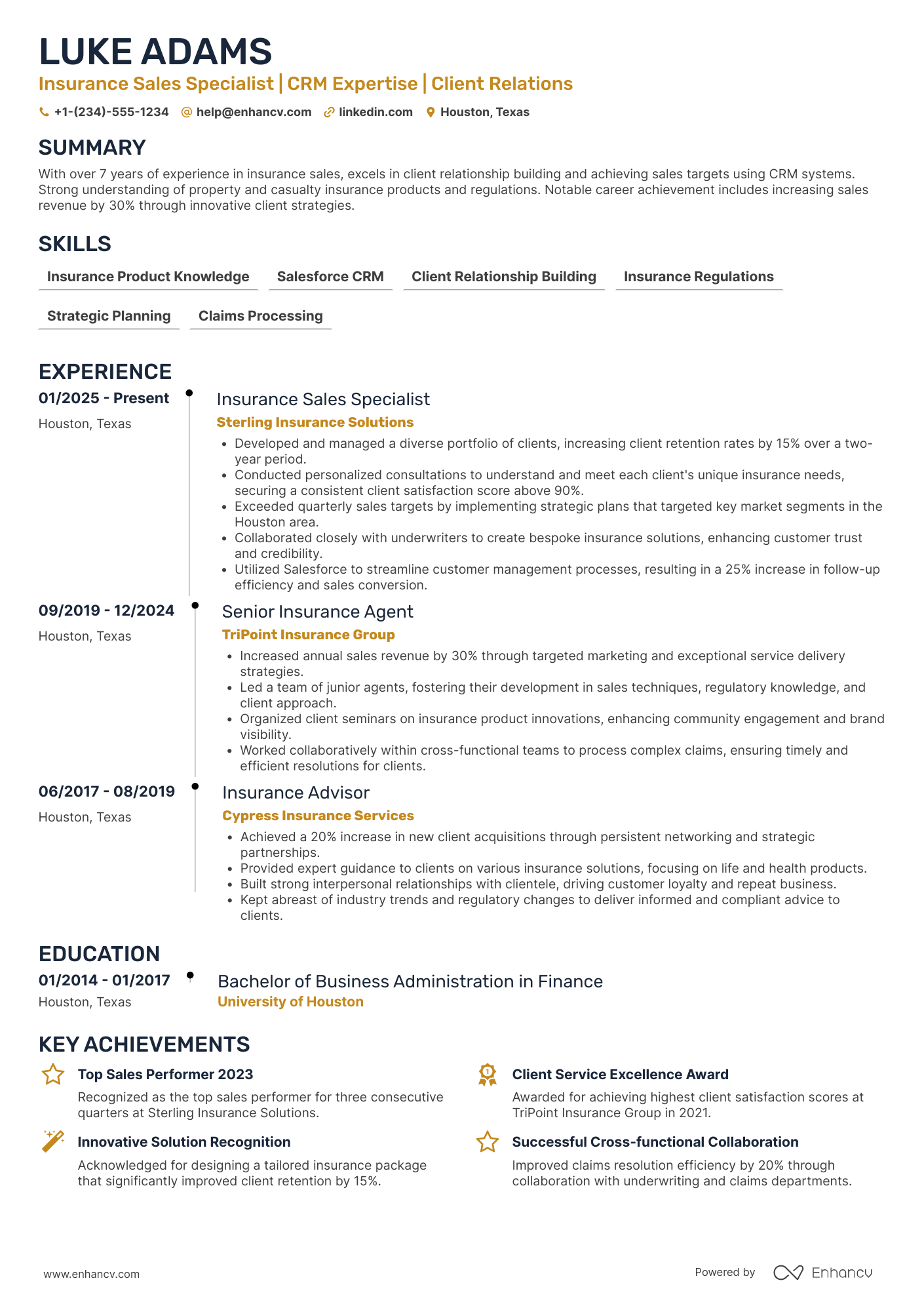 Insurance Sales resume example