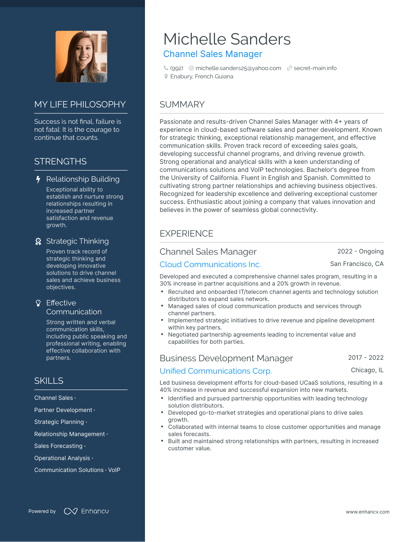Creative Channel Sales Manager Resume Example