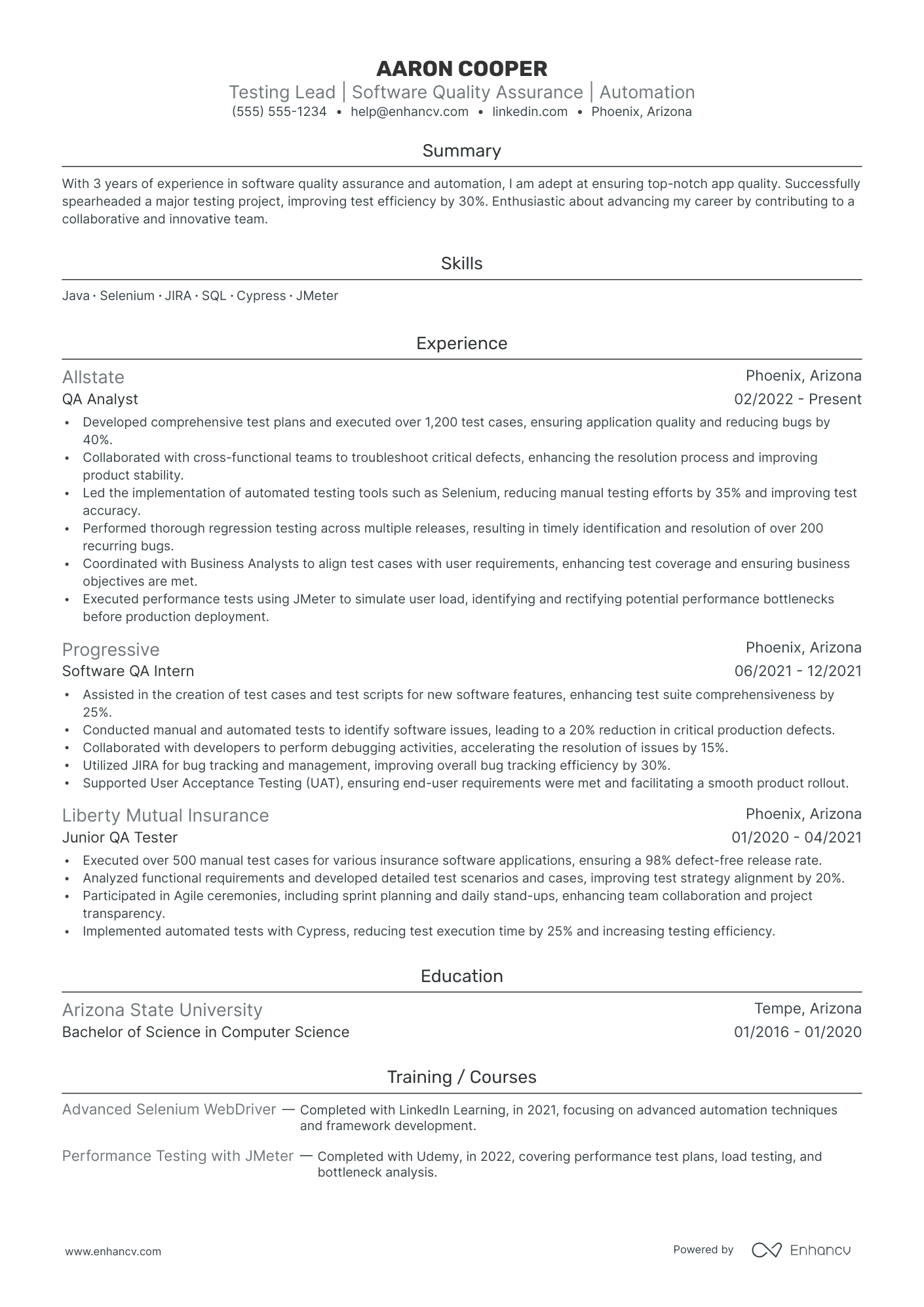 Manual Tester Team Lead resume example