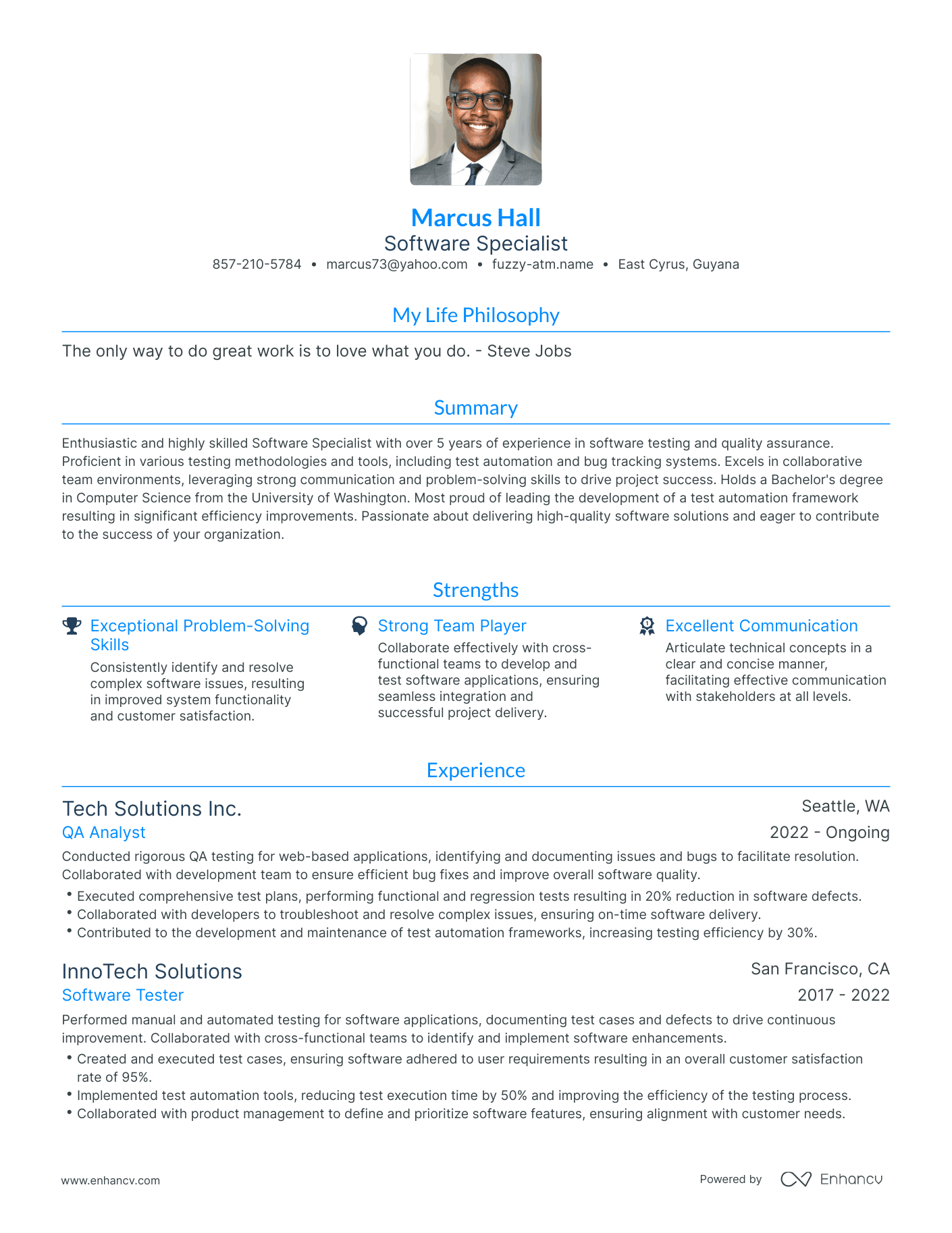 Modern Software Specialist Resume Example