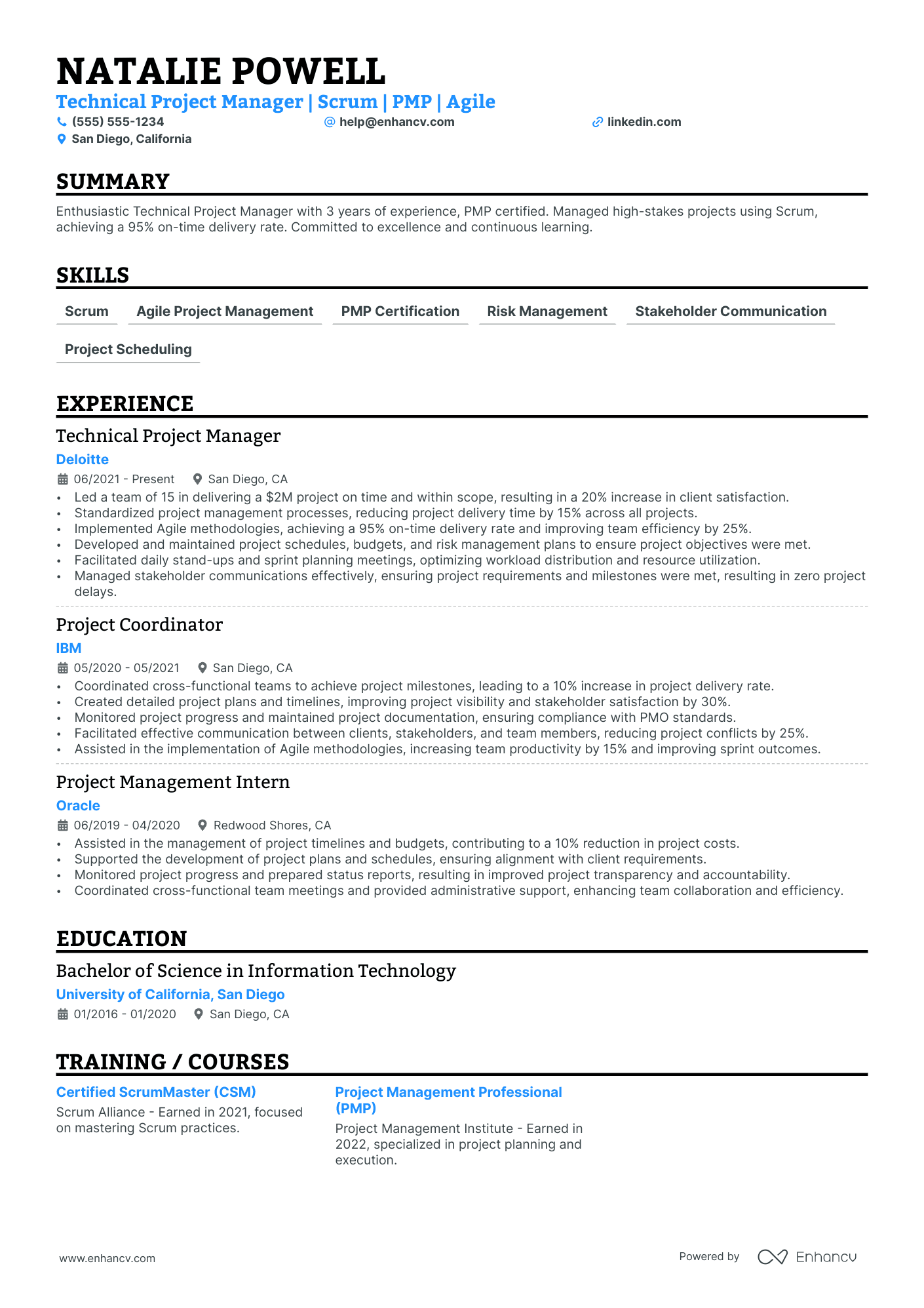 Principal Technical Project Manager resume example