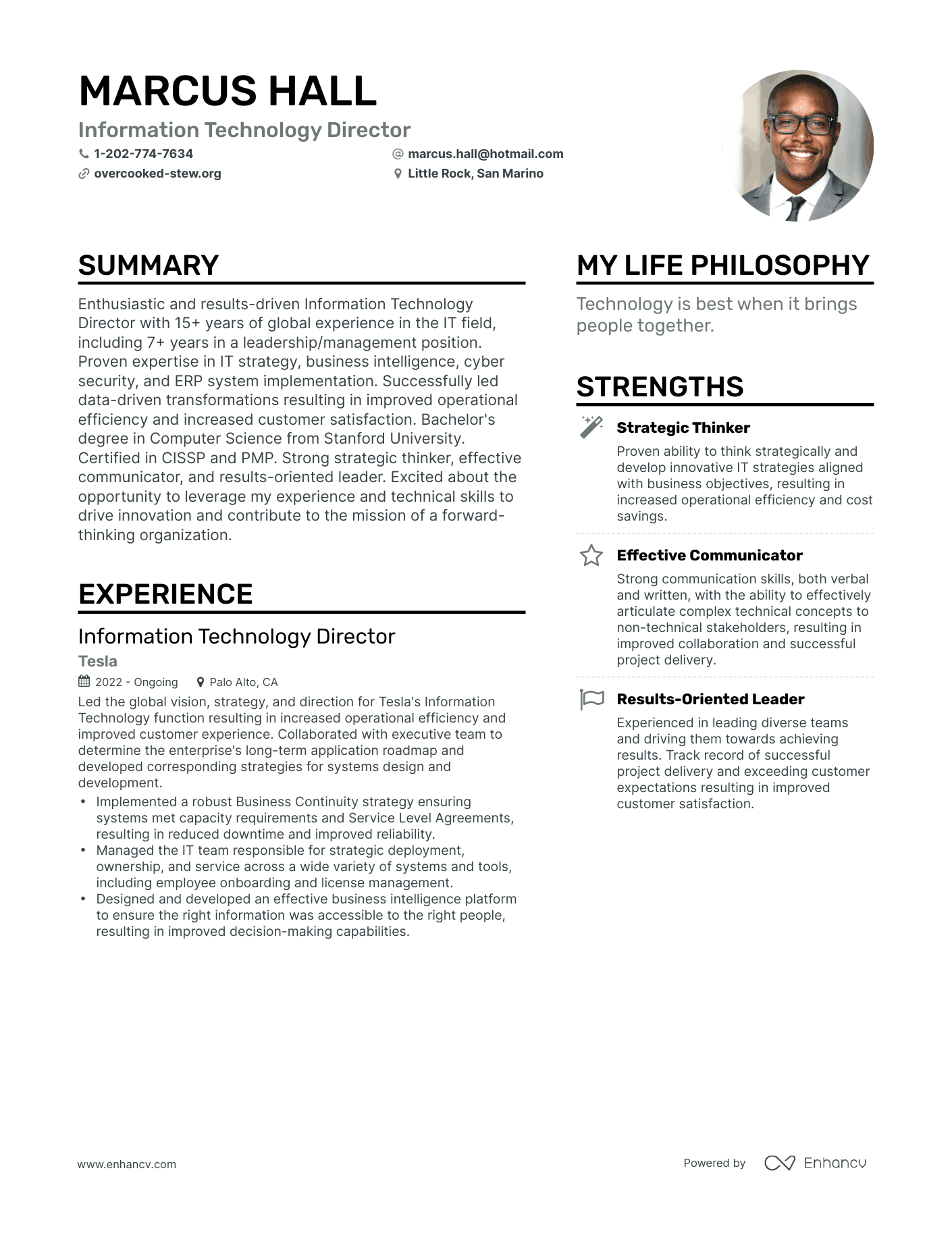 Information Technology Director resume example