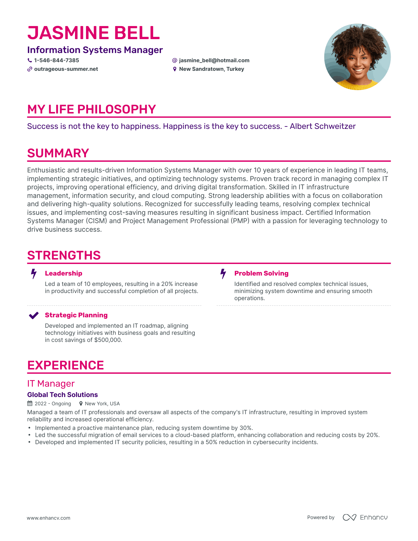 Creative Information Systems Manager Resume Example