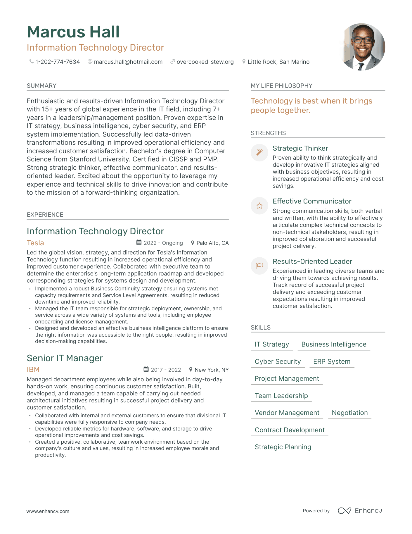 Modern Information Technology Director Resume Example
