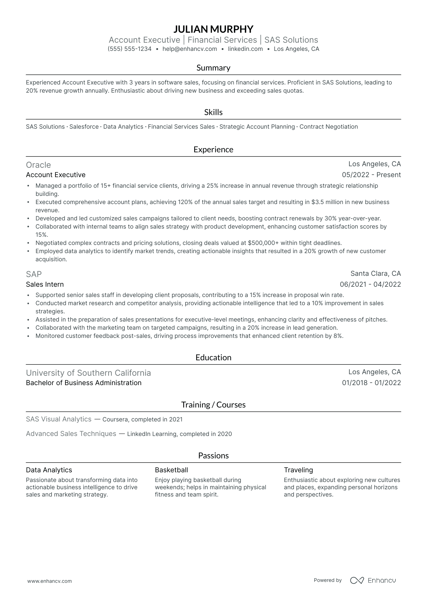 Financial Account Executive resume example