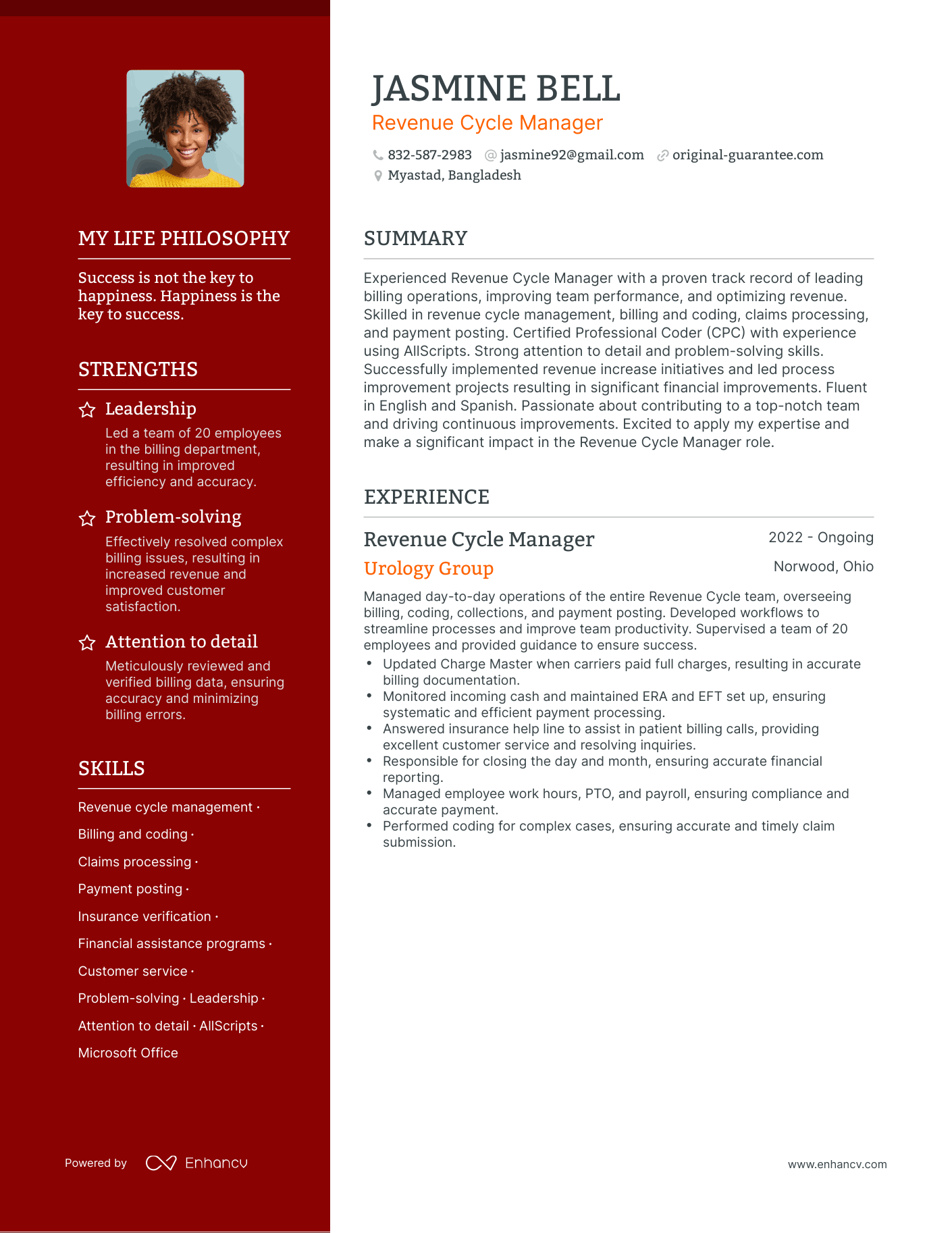 Creative Revenue Cycle Manager Resume Example
