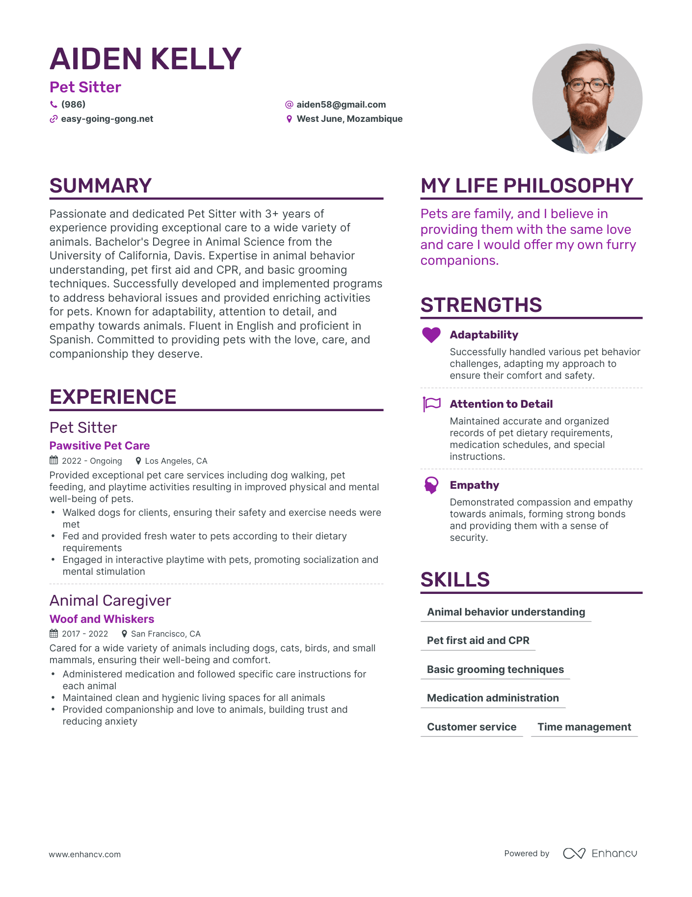 3 Successful Pet Sitter Resume Examples And Writing Tips For 2024