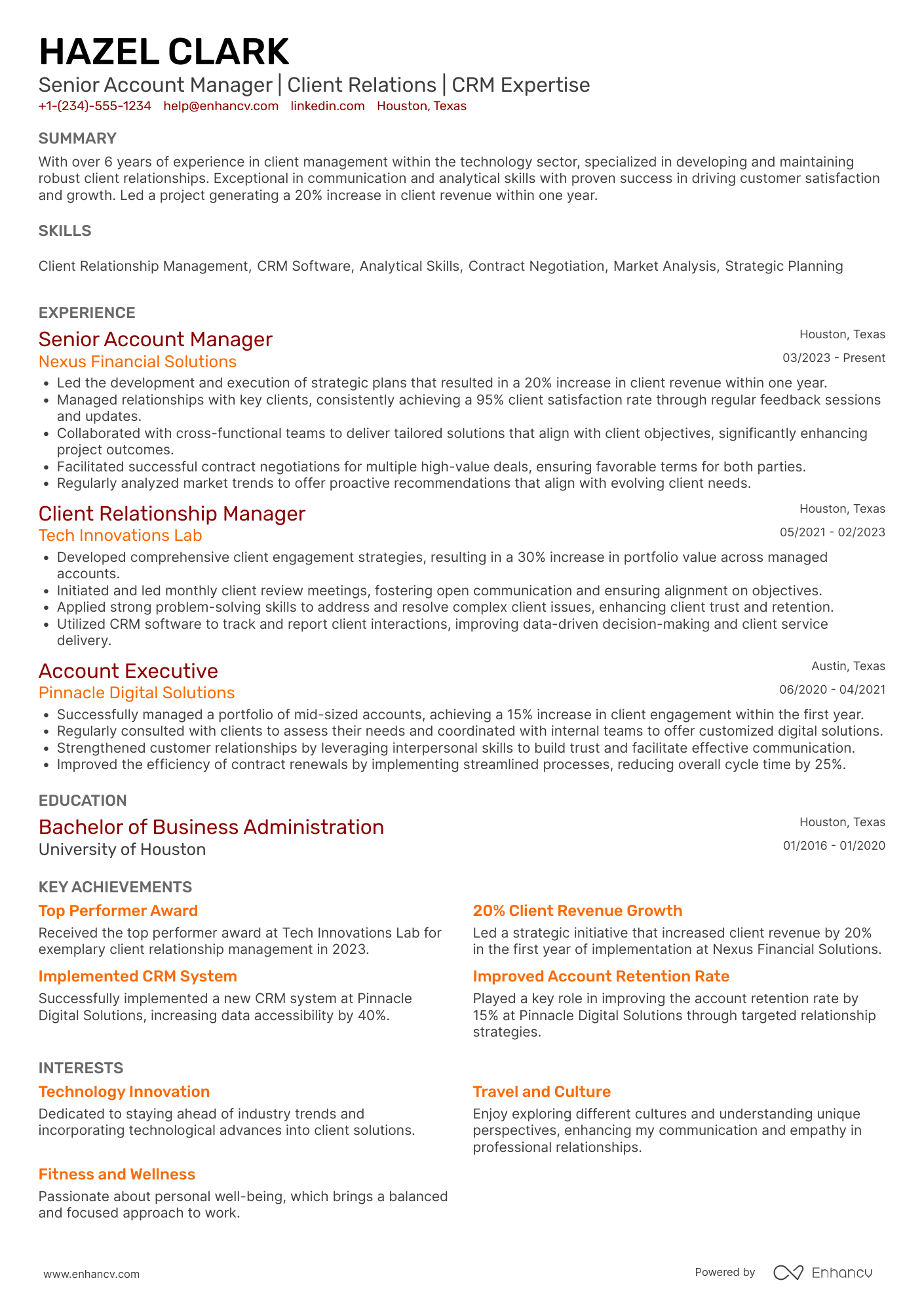 Client Partner resume example