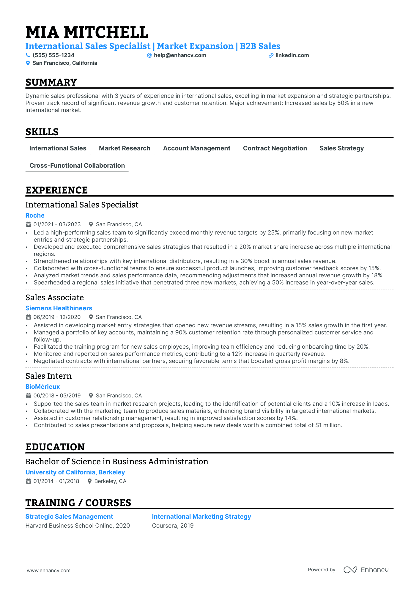 International Sales Director resume example