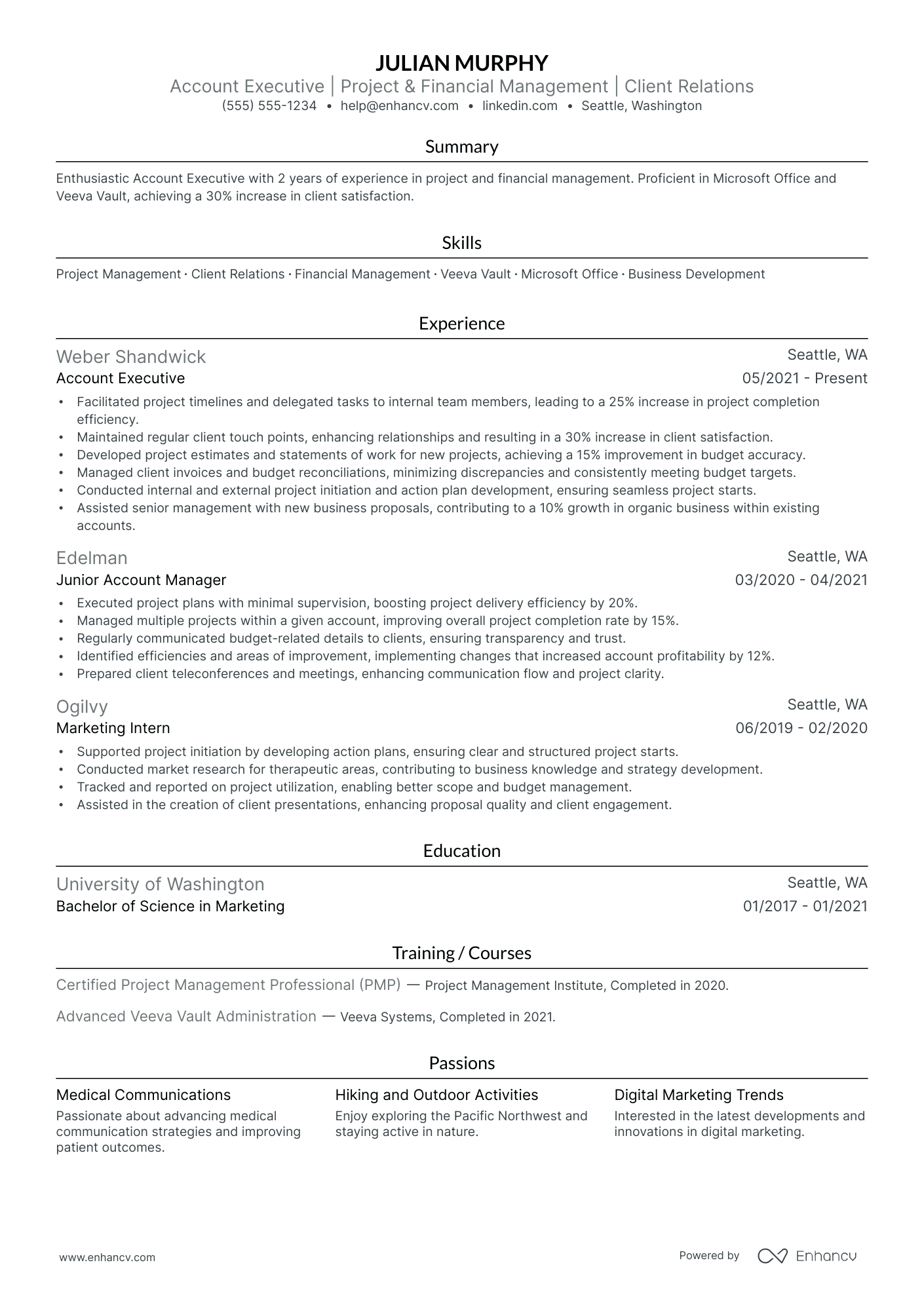 Account Executive resume example