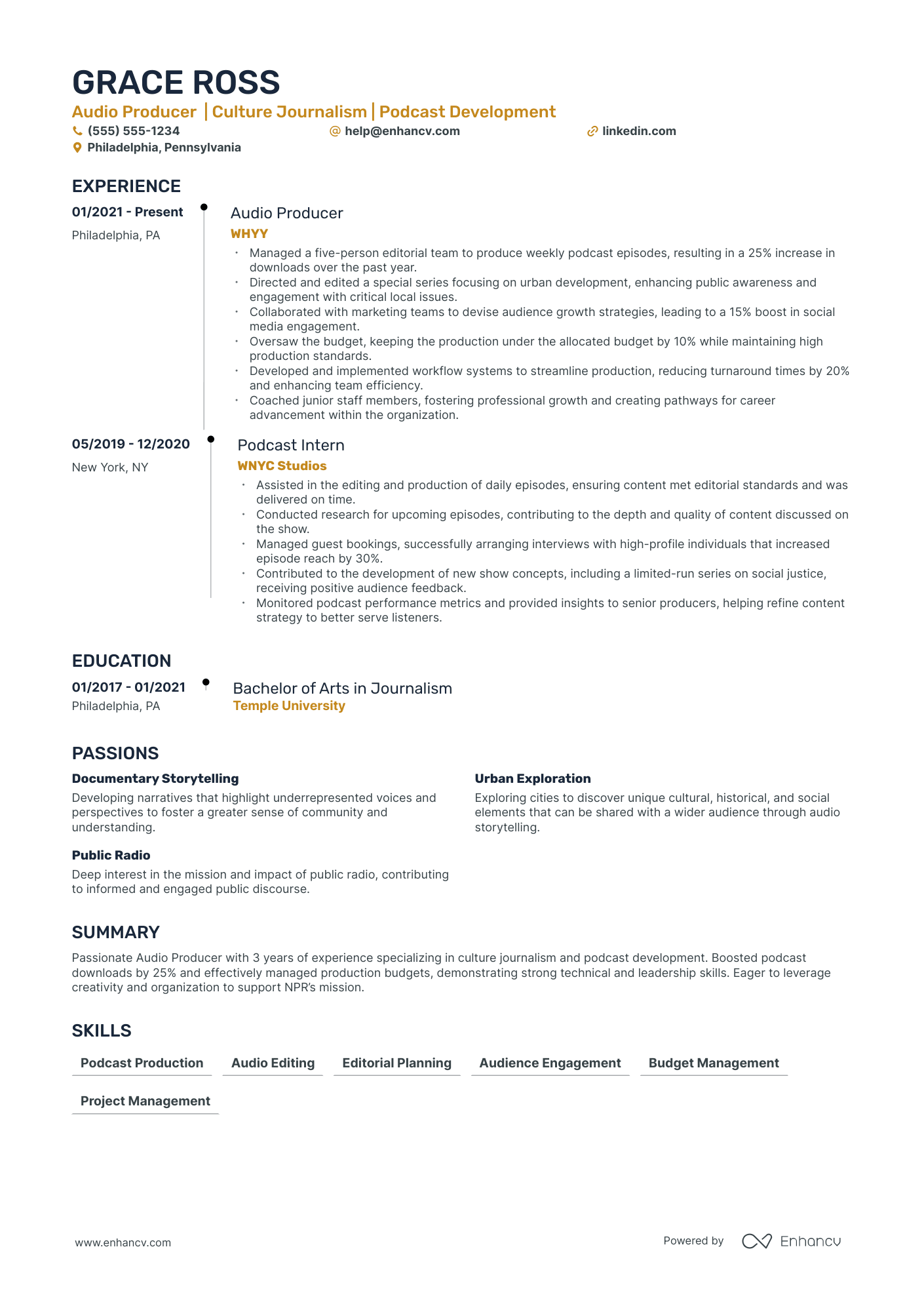 Executive Media Producer resume example