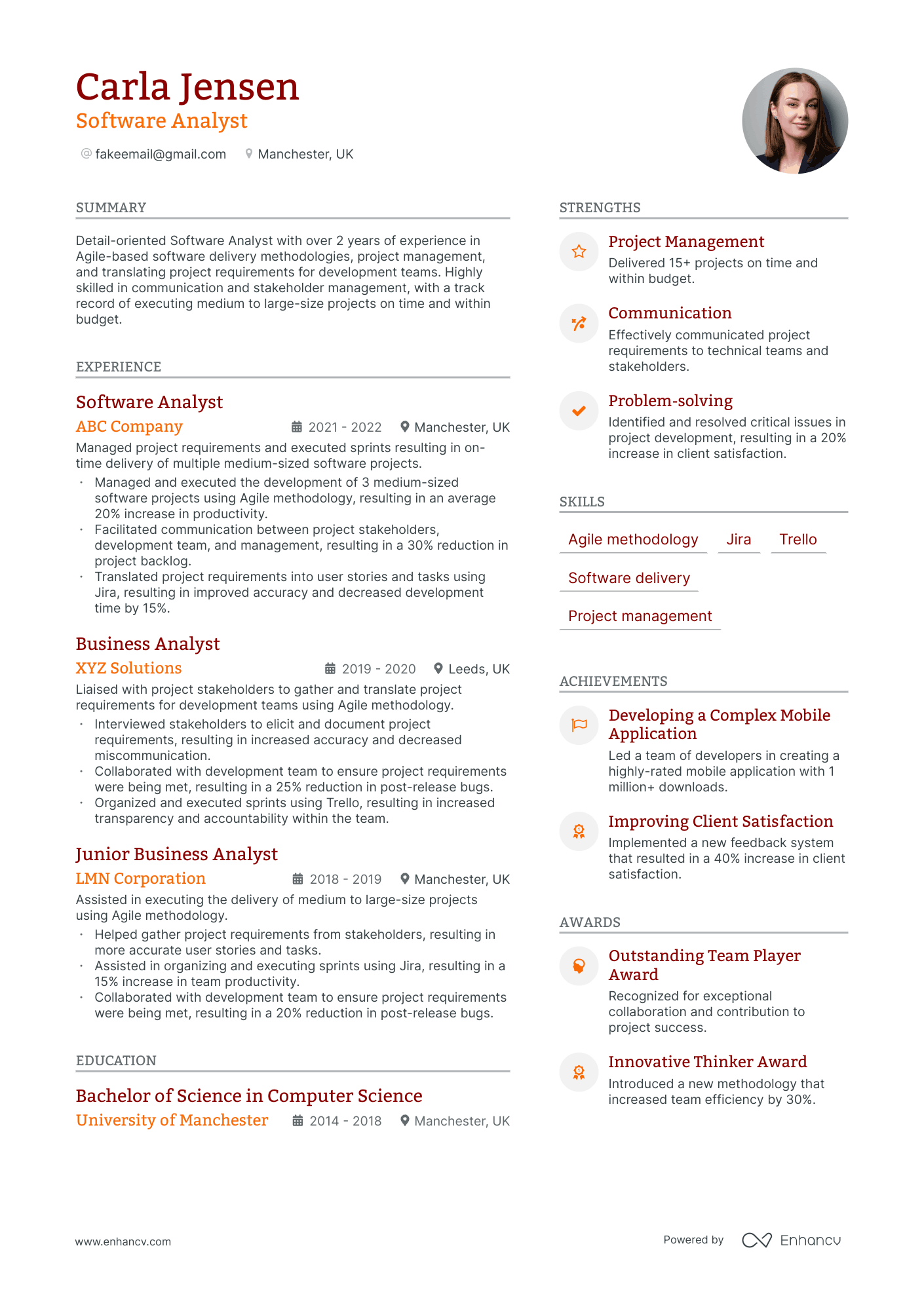 Software Analyst resume example