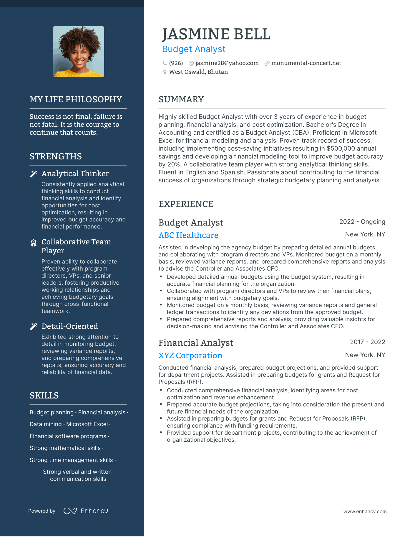 Creative Budget Analyst Resume Example