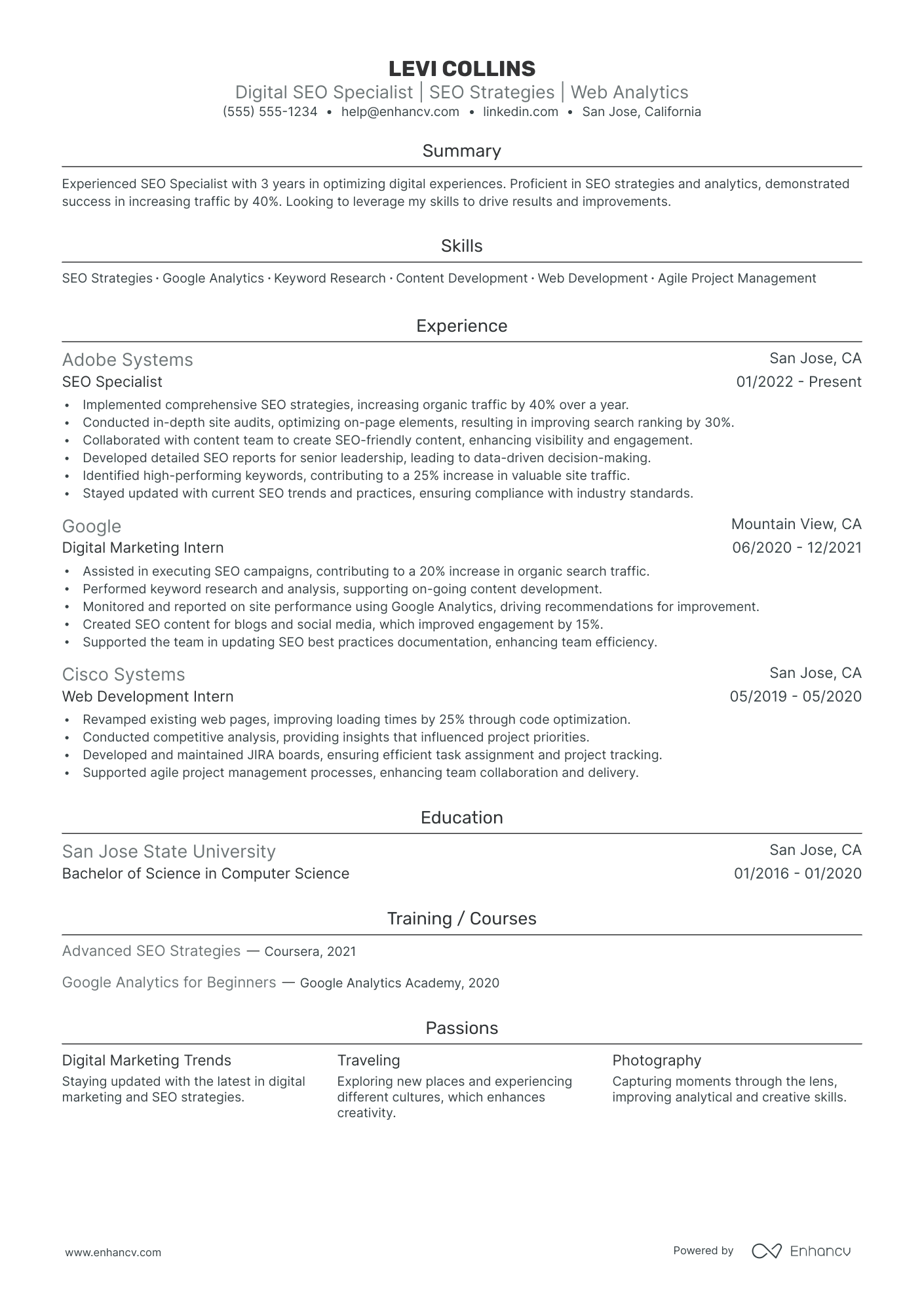 Head of SEO resume example