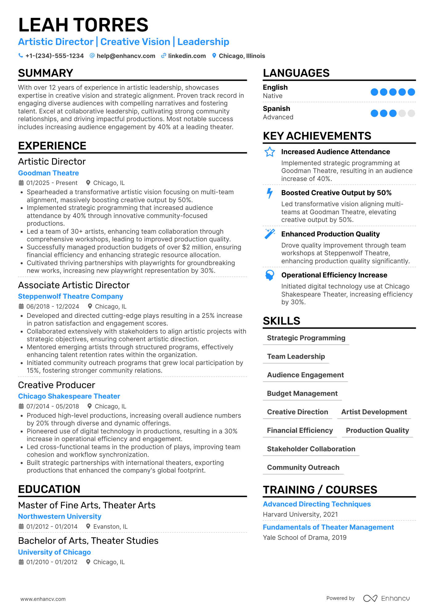 Artistic Director resume example