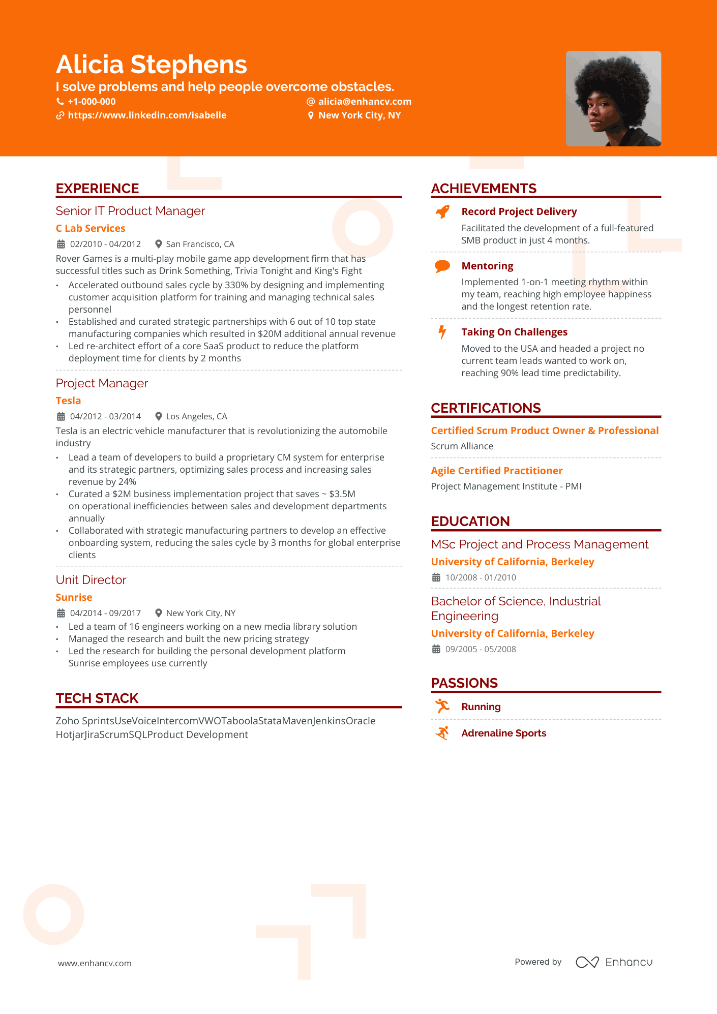 I solve problems and help people overcome obstacles. CV example
