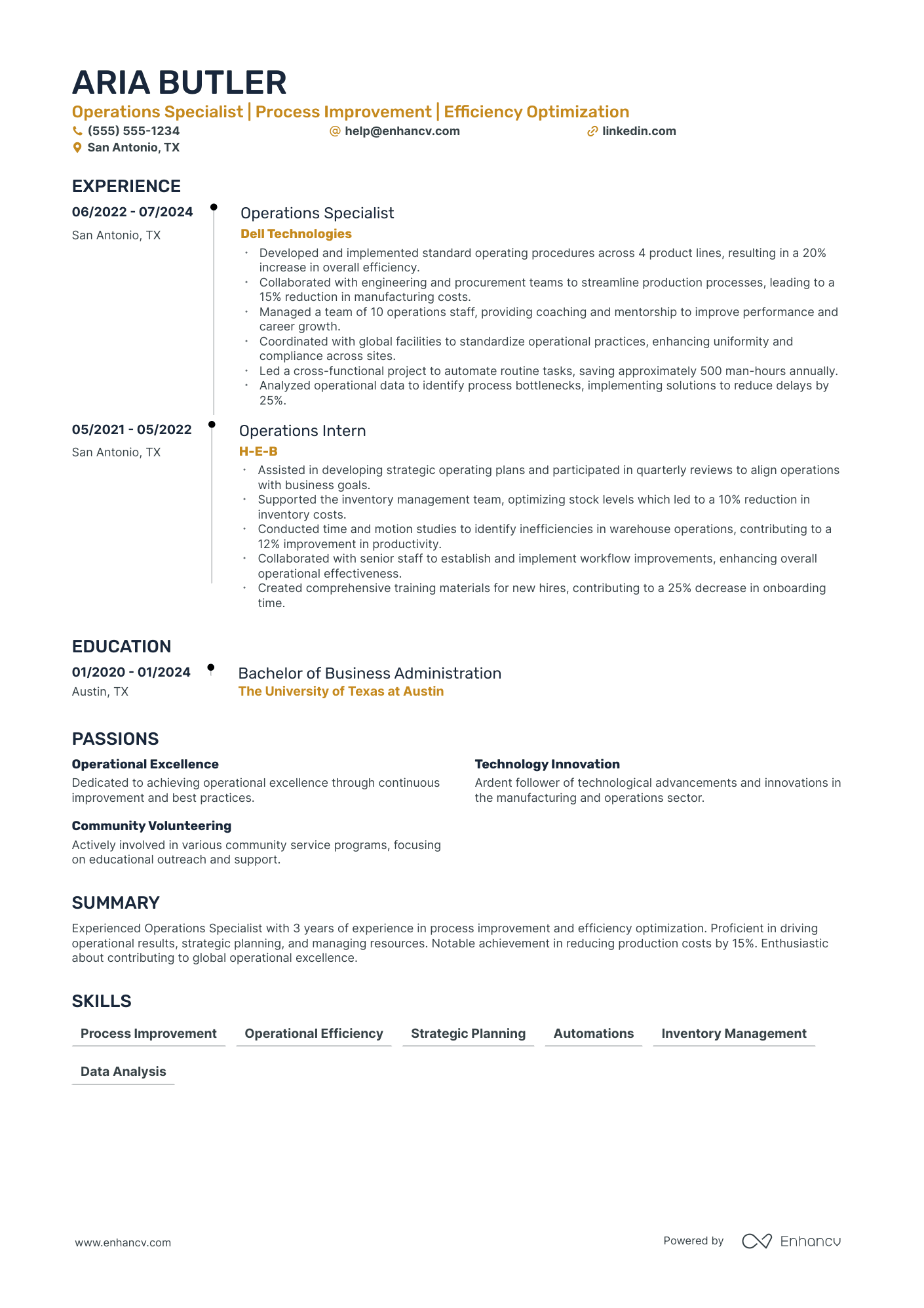 Vice President of Global Operations resume example