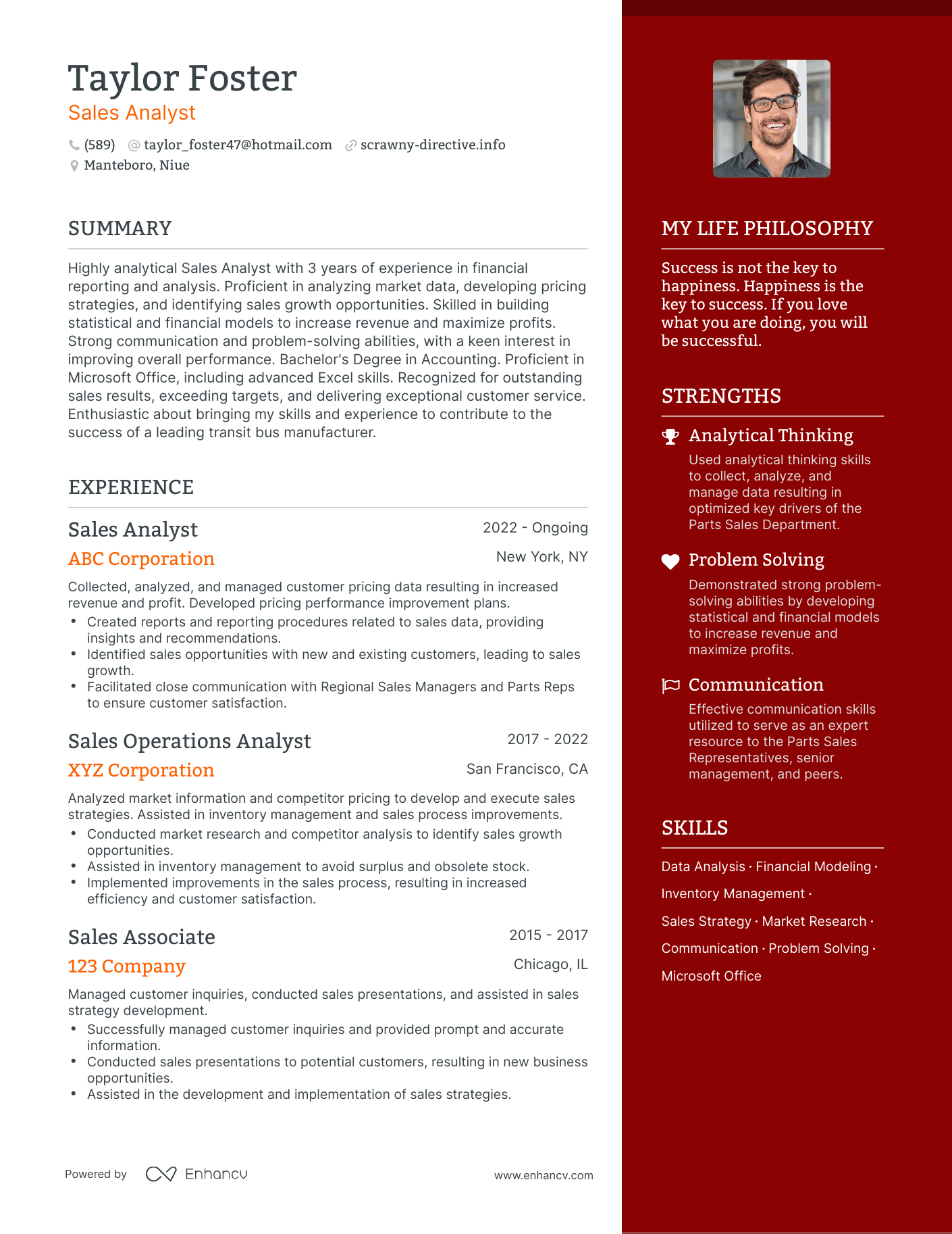 Sales Analyst resume example