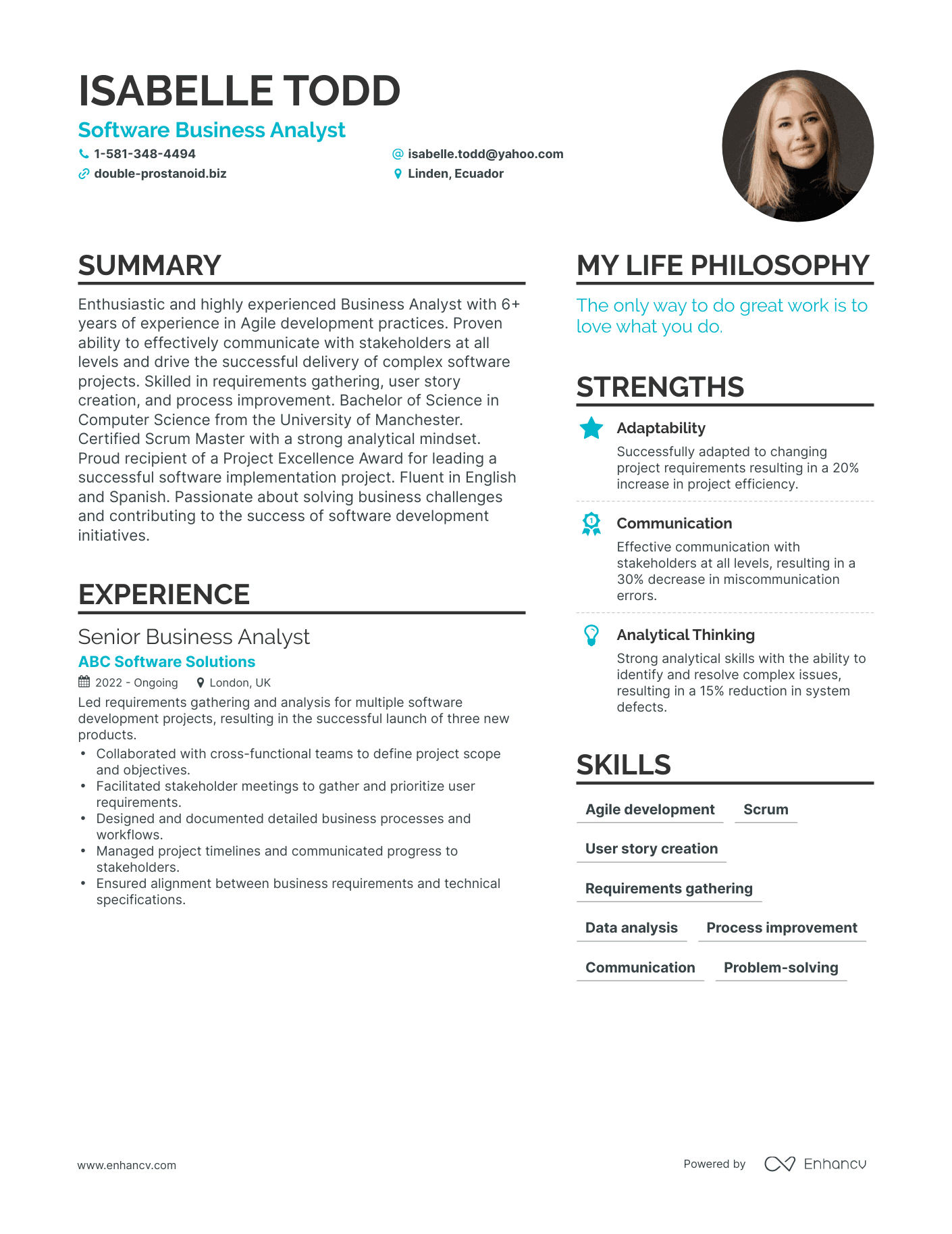 Software Business Analyst resume example