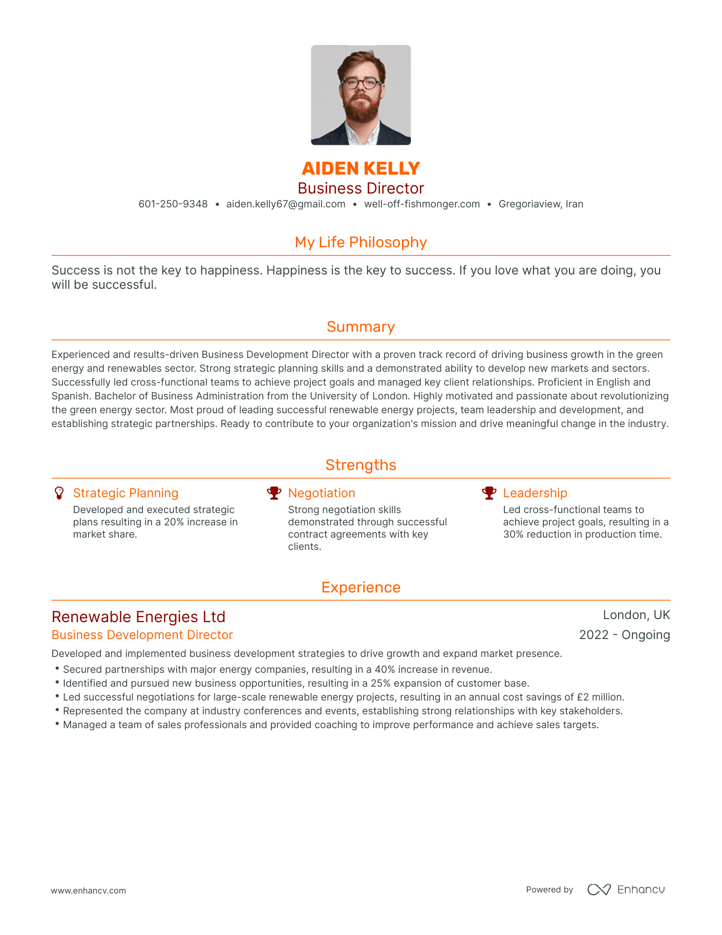 Modern Business Director Resume Example