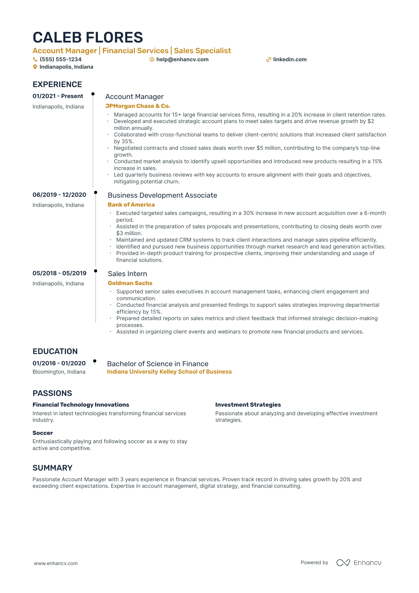 Financial Account Manager resume example