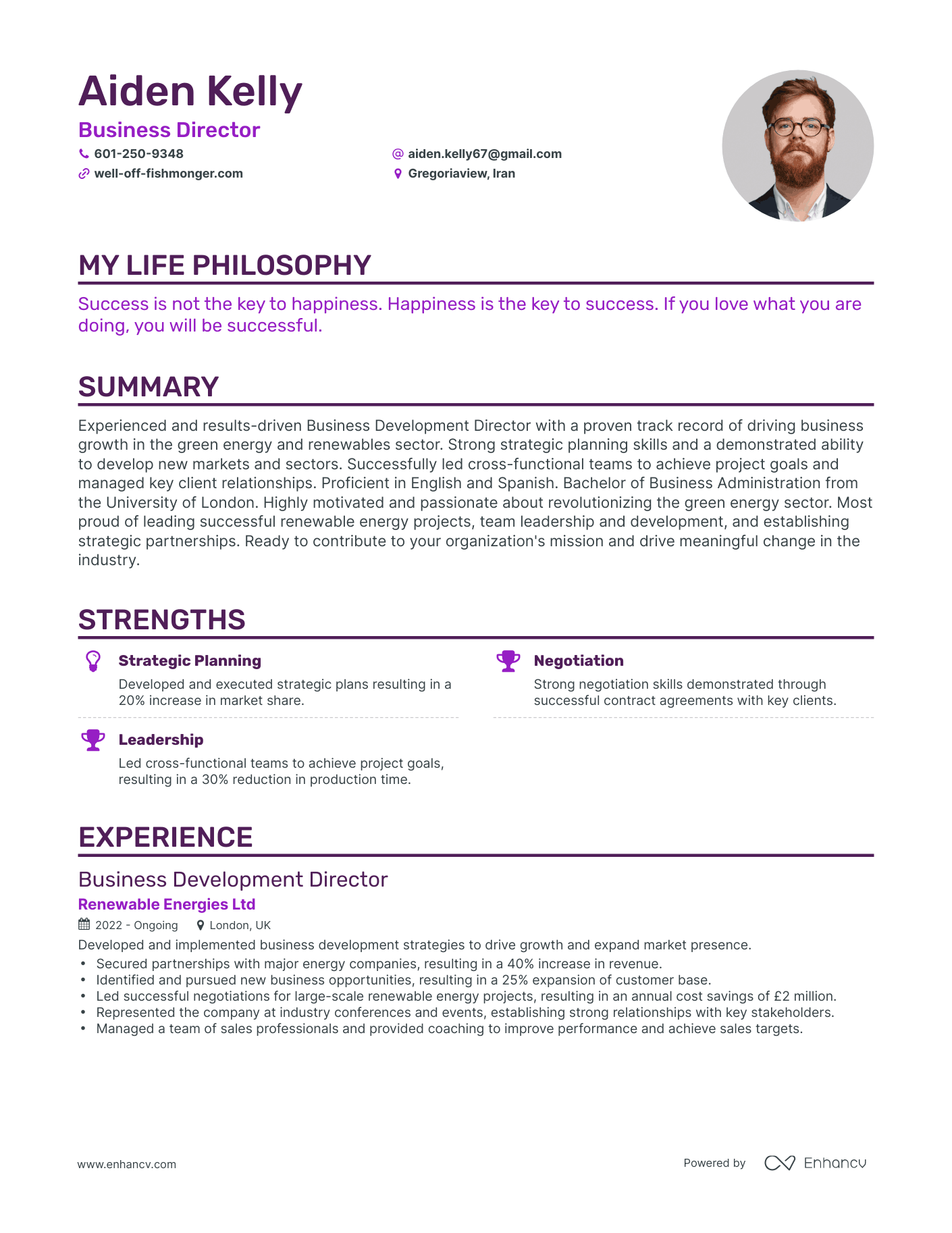Creative Business Director Resume Example