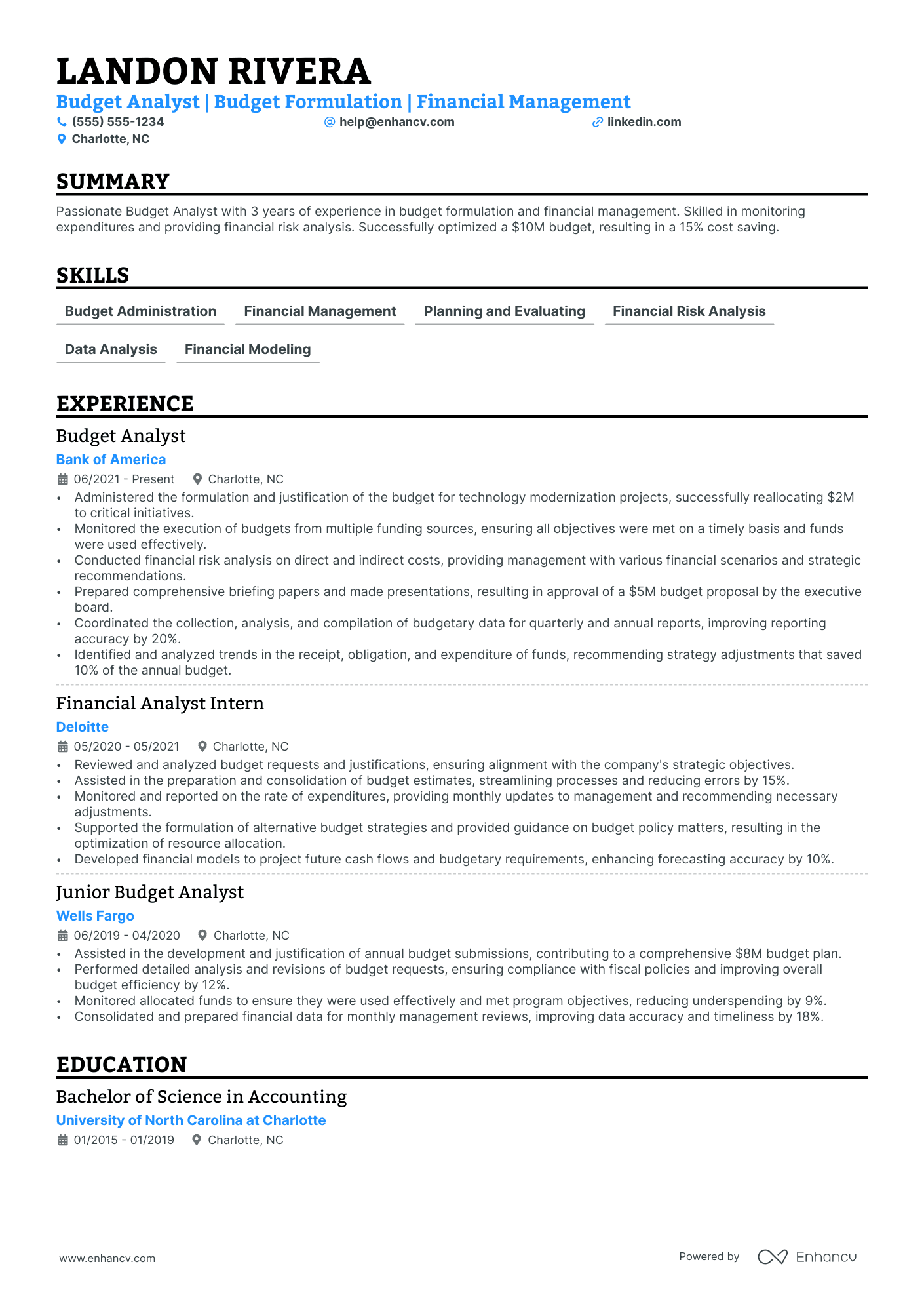 Government Budget Analyst resume example