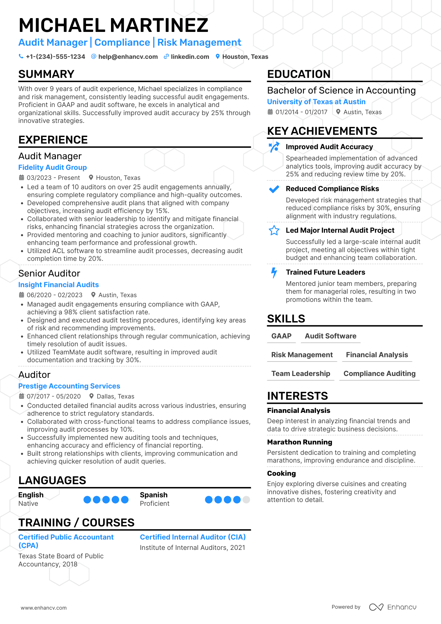 Audit Manager resume example