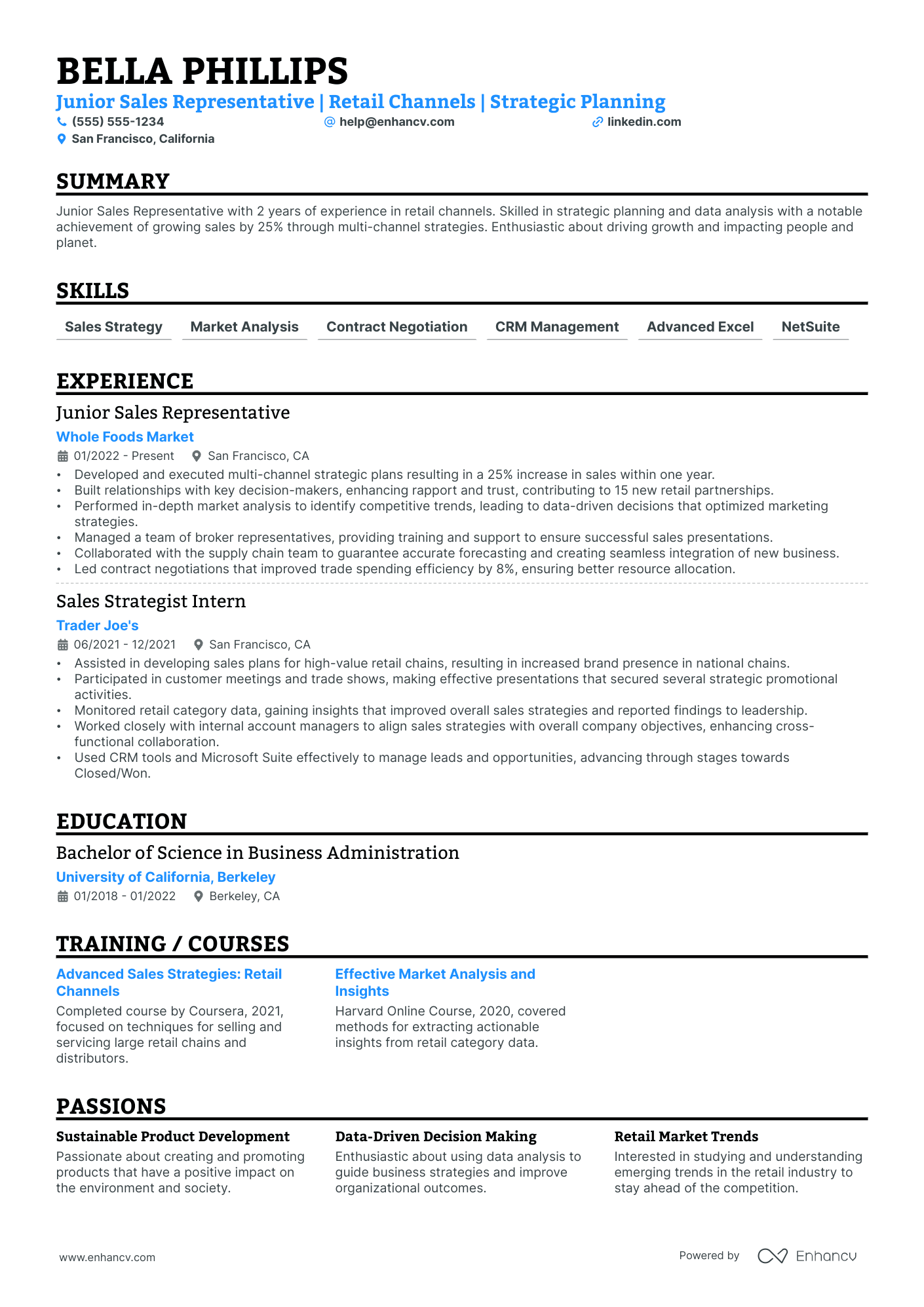 Retail Sales Director resume example