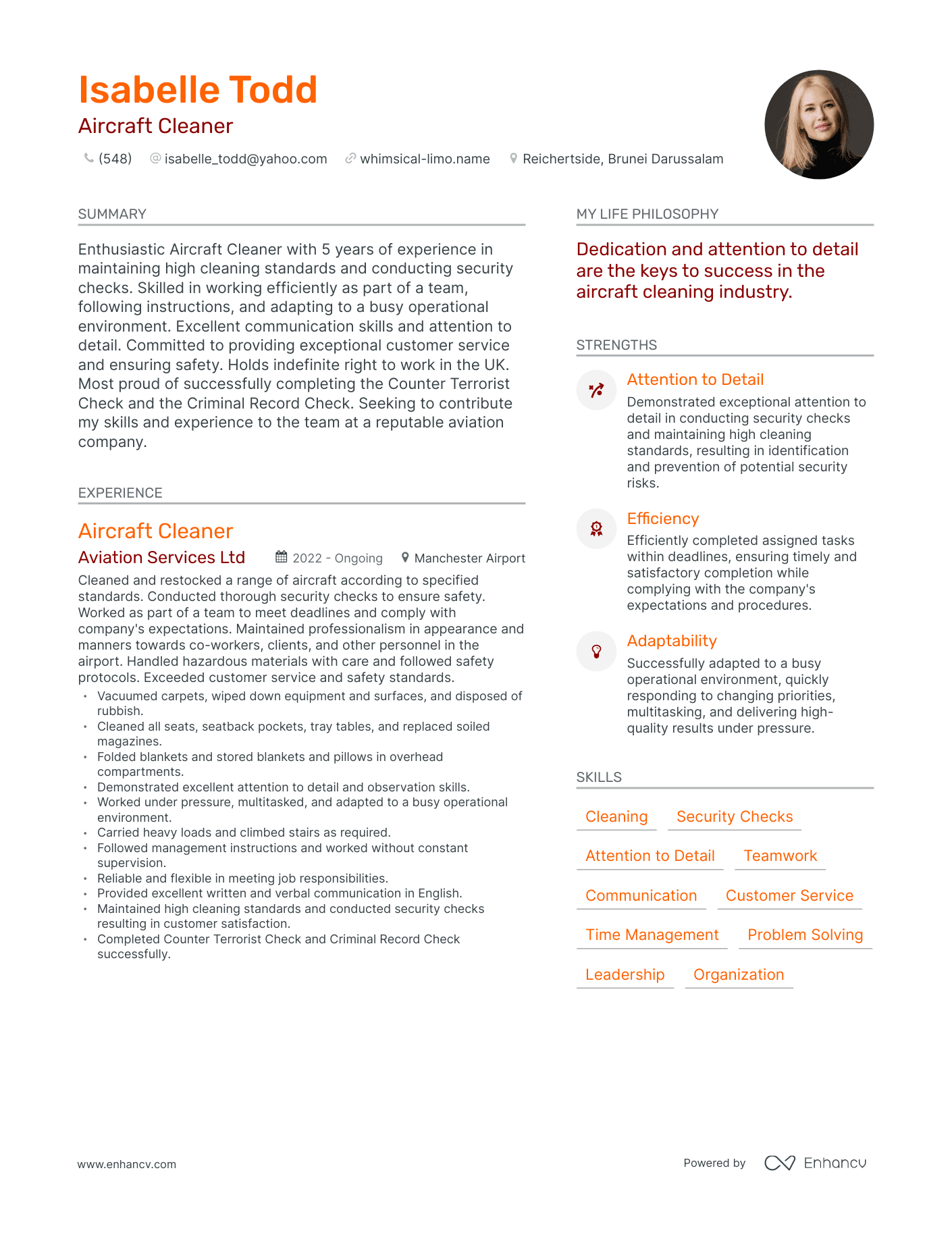 Aircraft Cleaner resume example