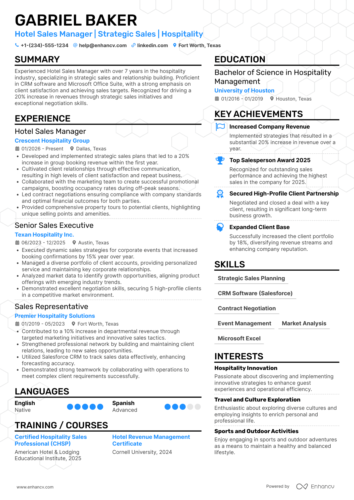 Hotel Sales Manager resume example