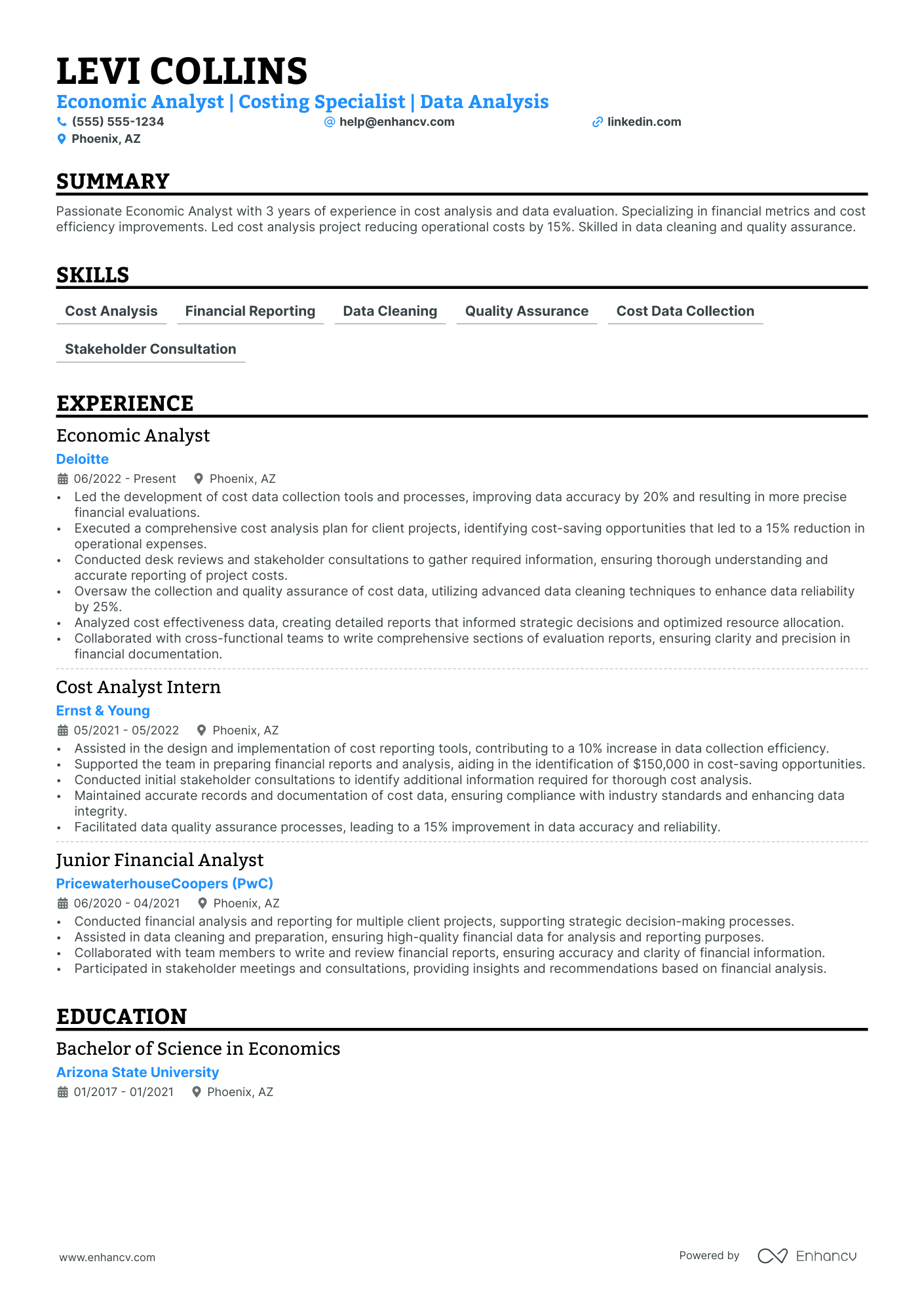 Global Economic Analyst resume example