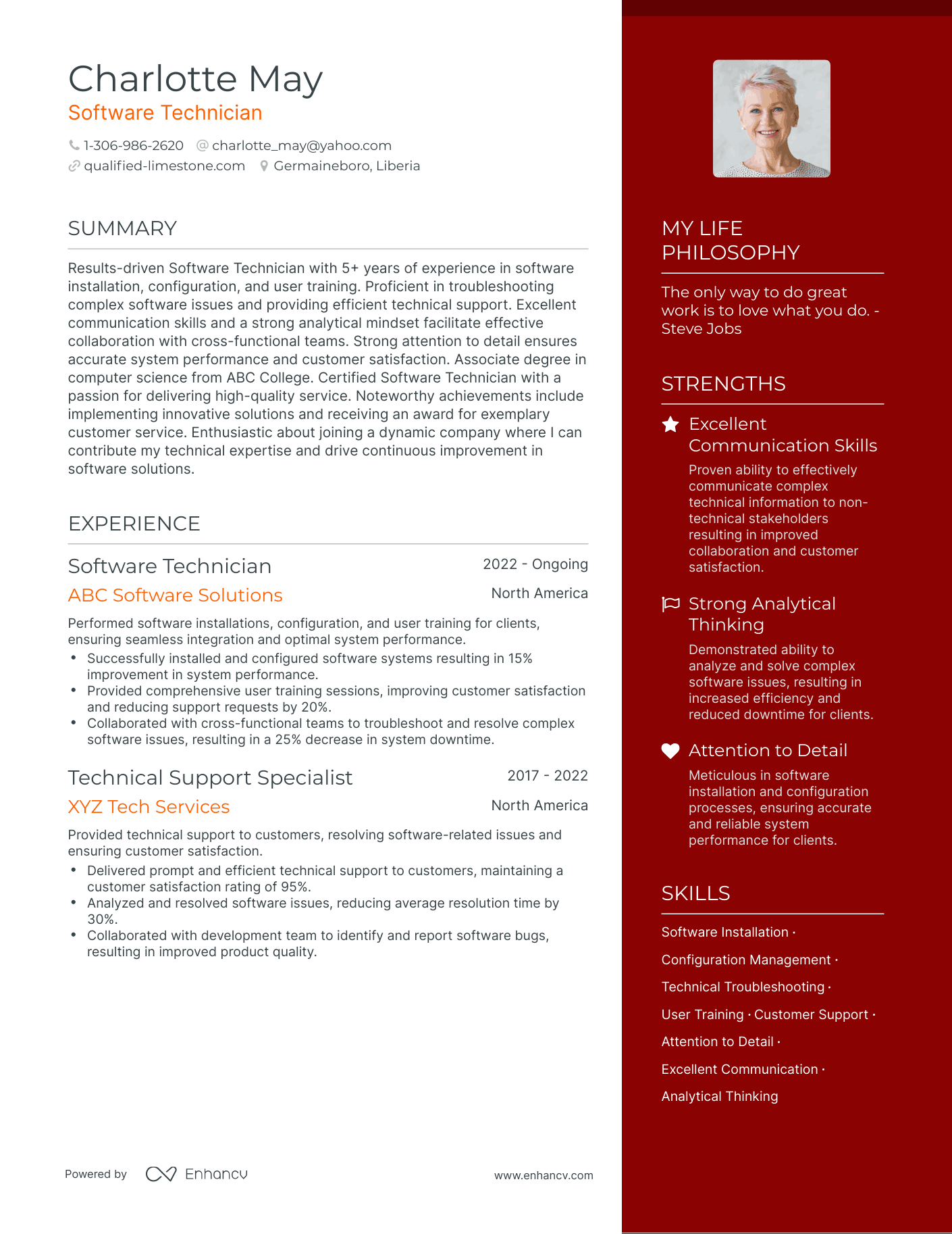 Software Technician resume example