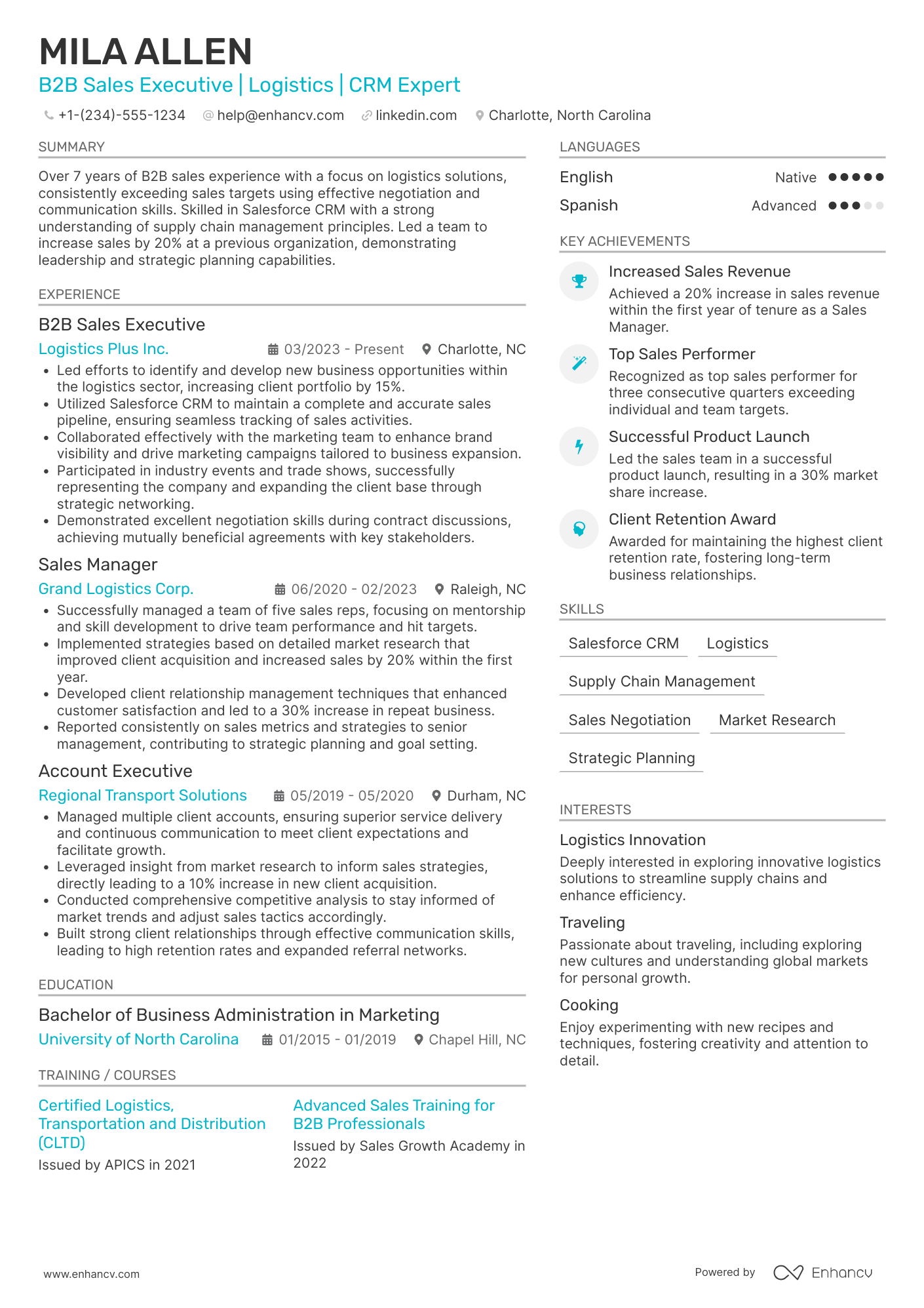 B2B Sales resume example