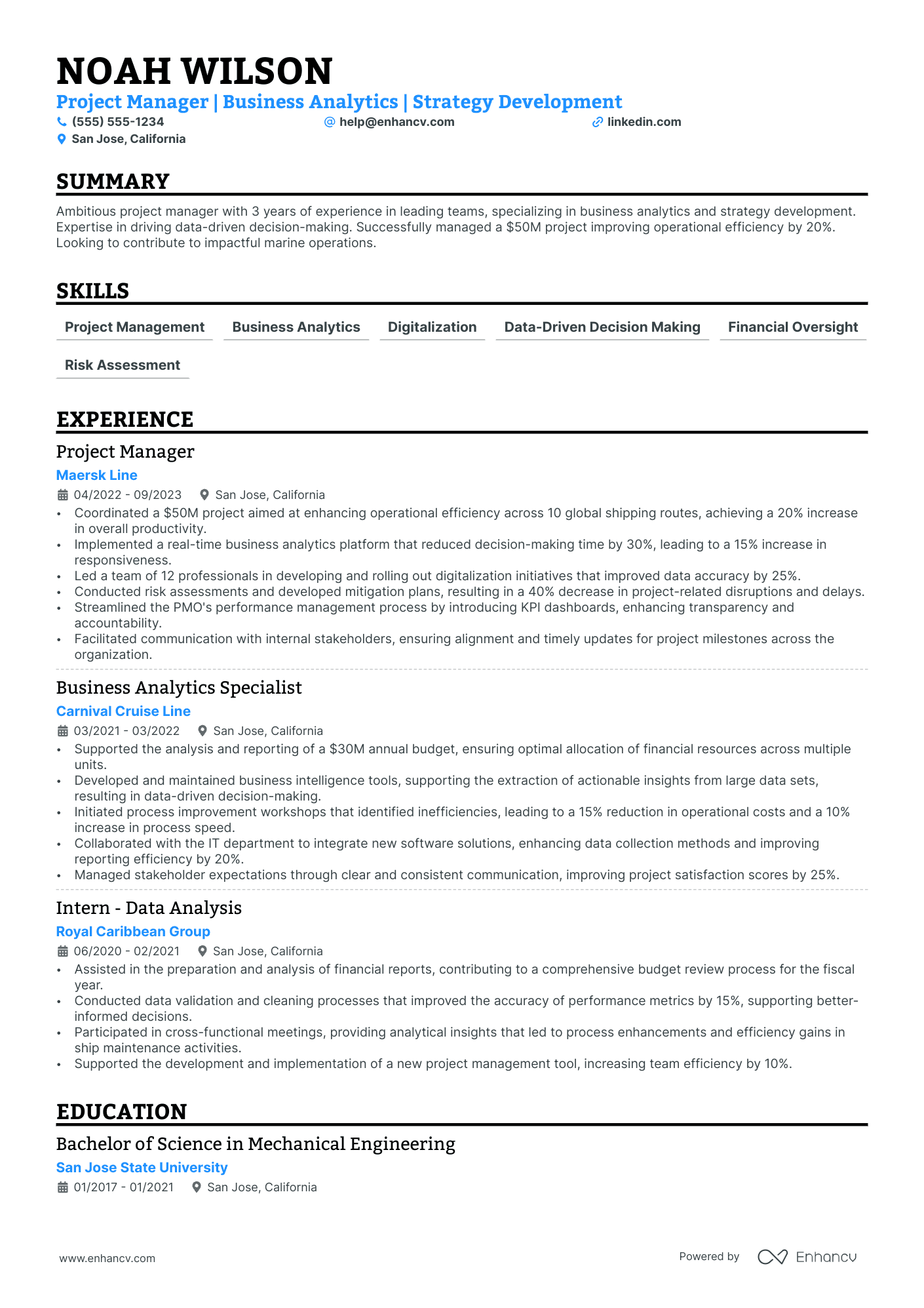 PMO Manager resume example