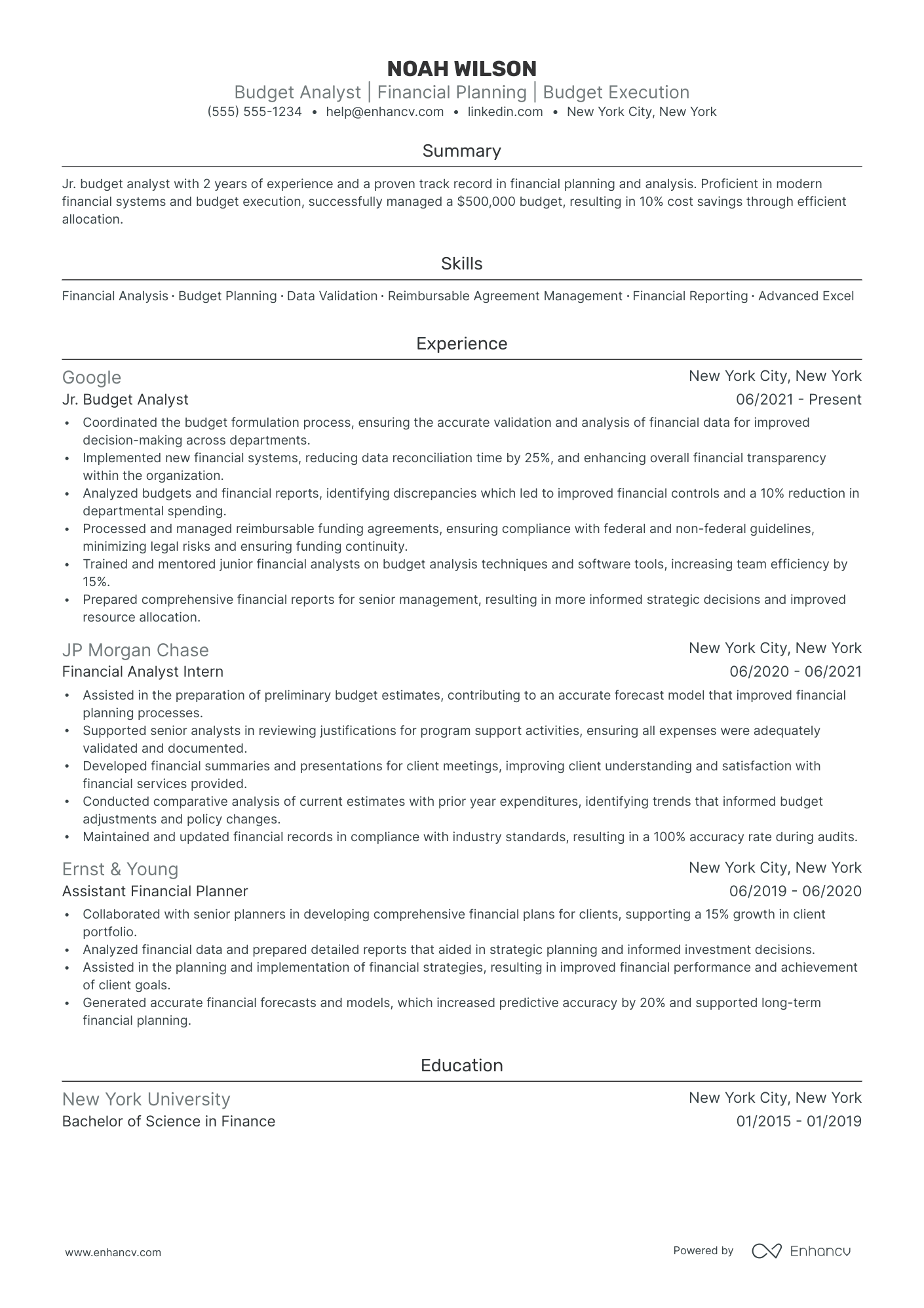 Budget Analyst resume example