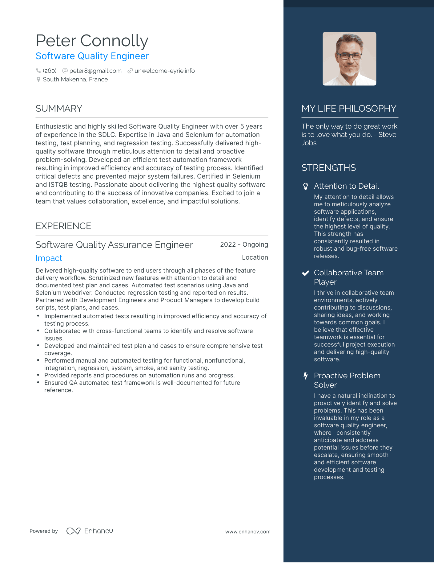 Software Quality Engineer resume example