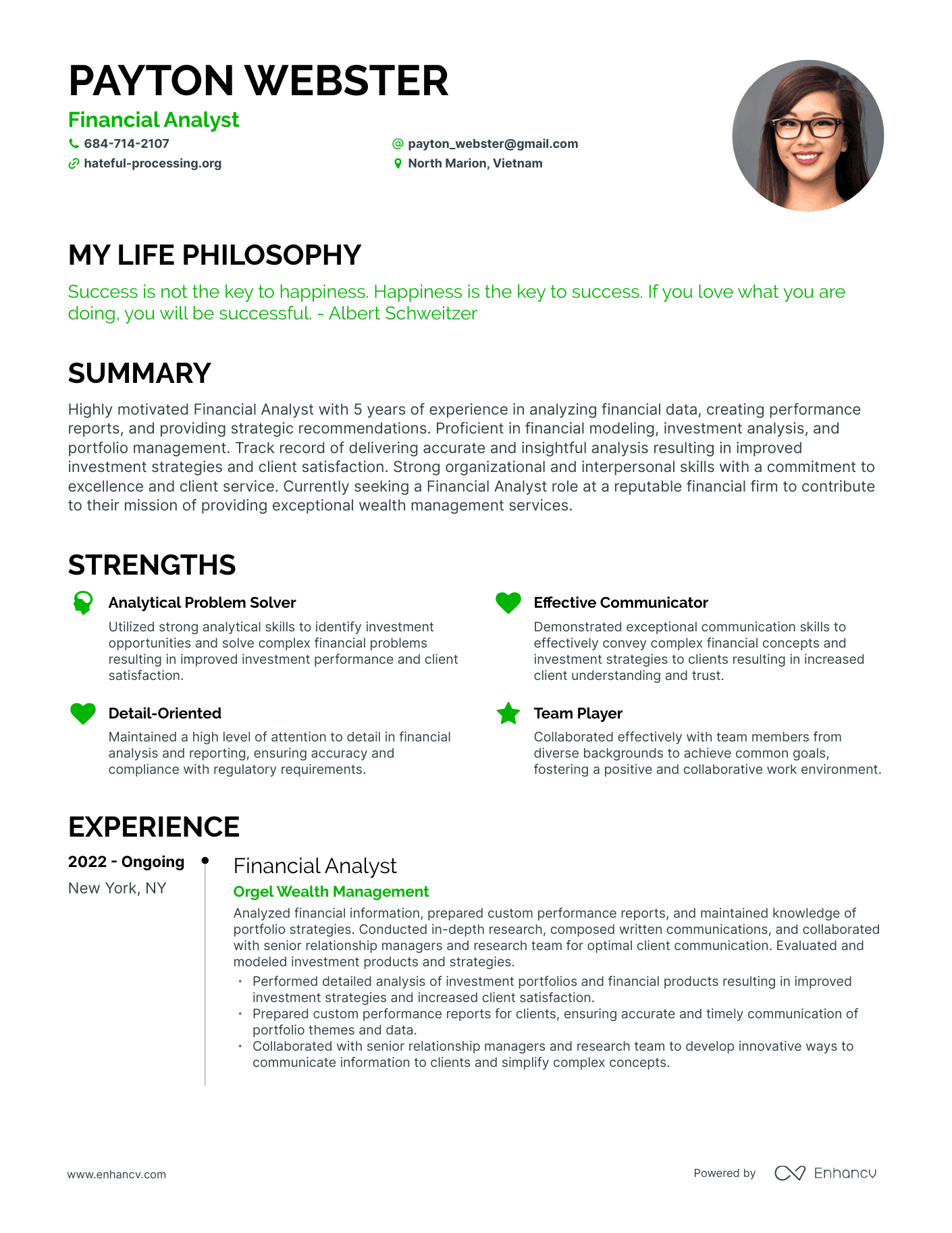 Creative Financial Analyst Resume Example