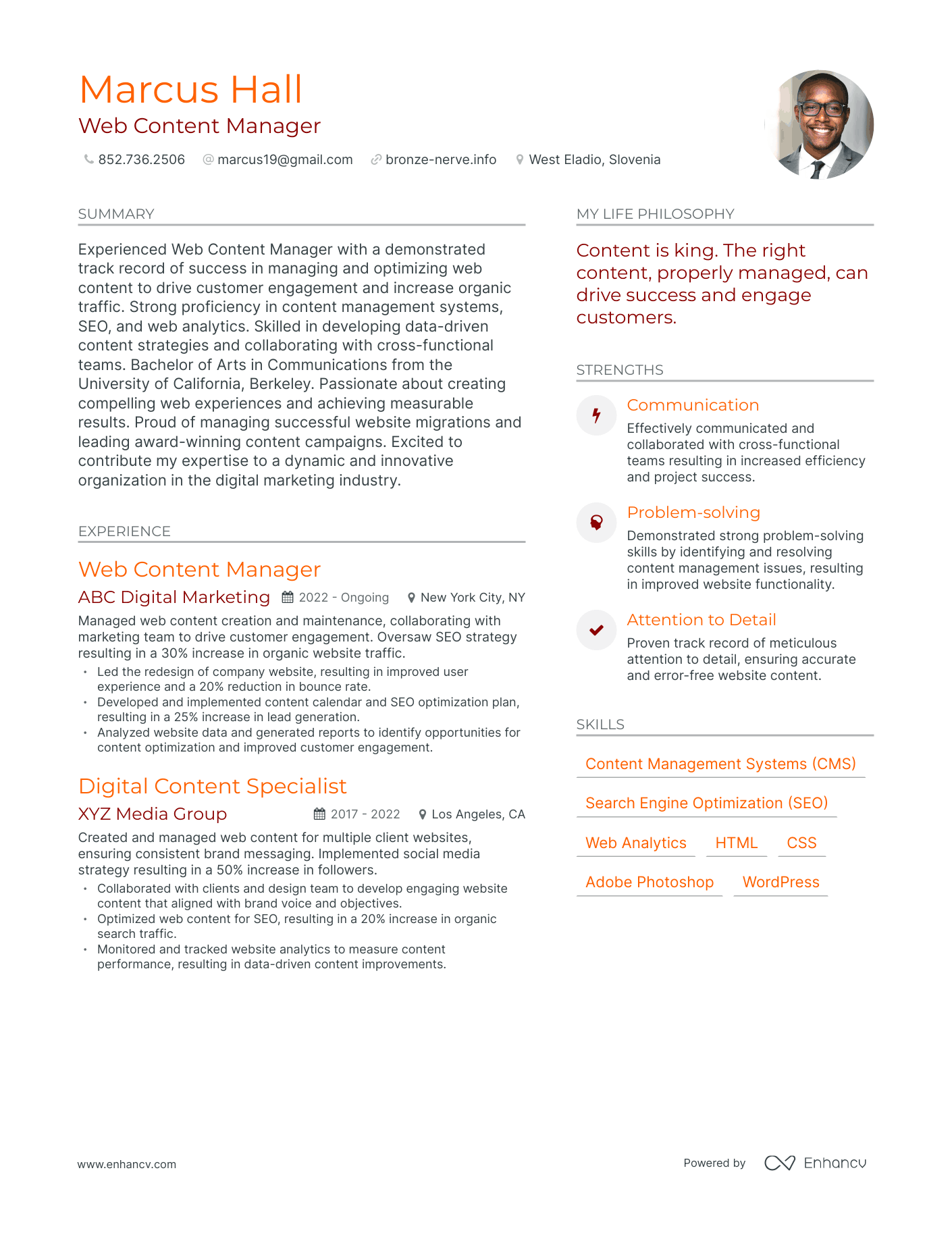 Modern Web Content Manager Resume Example