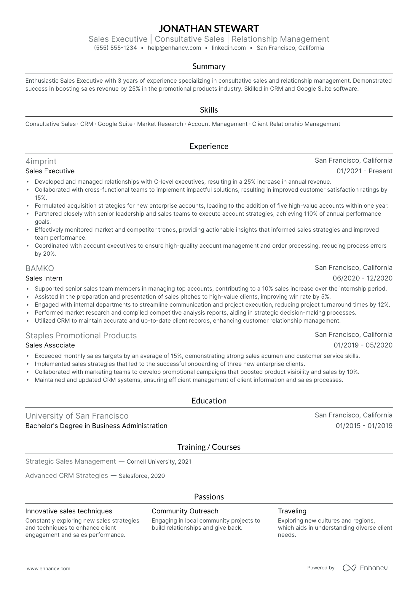 Senior Sales Director resume example