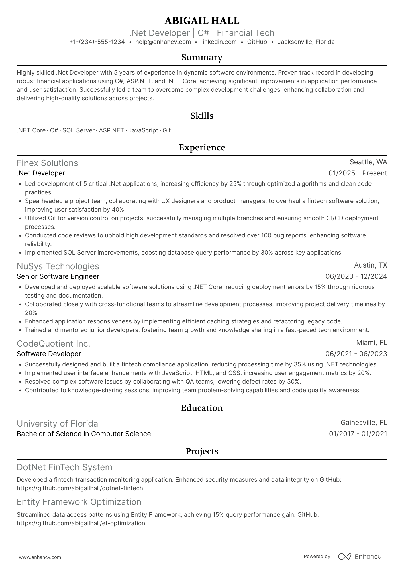 .Net Developer resume example