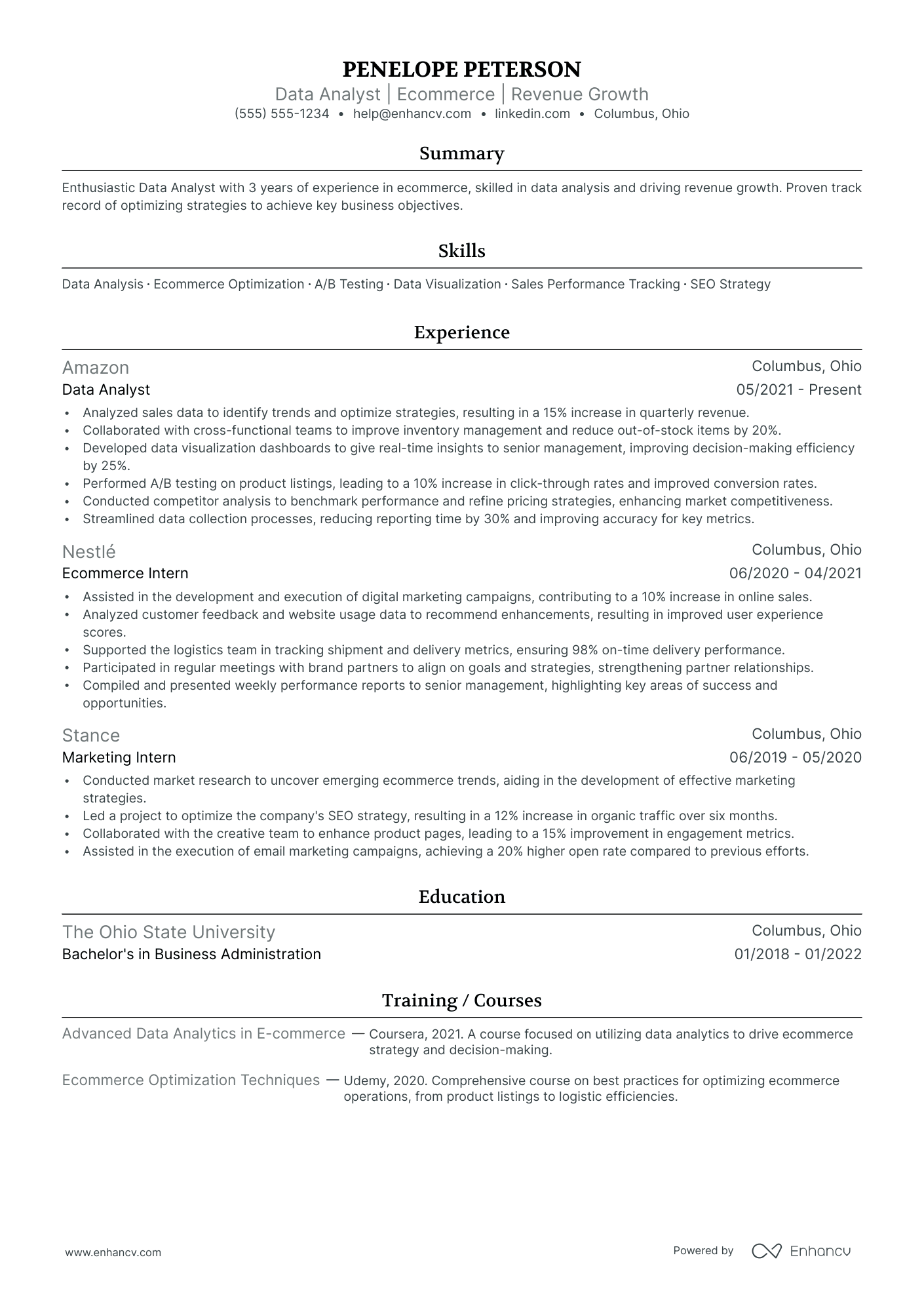 Ecommerce Director resume example