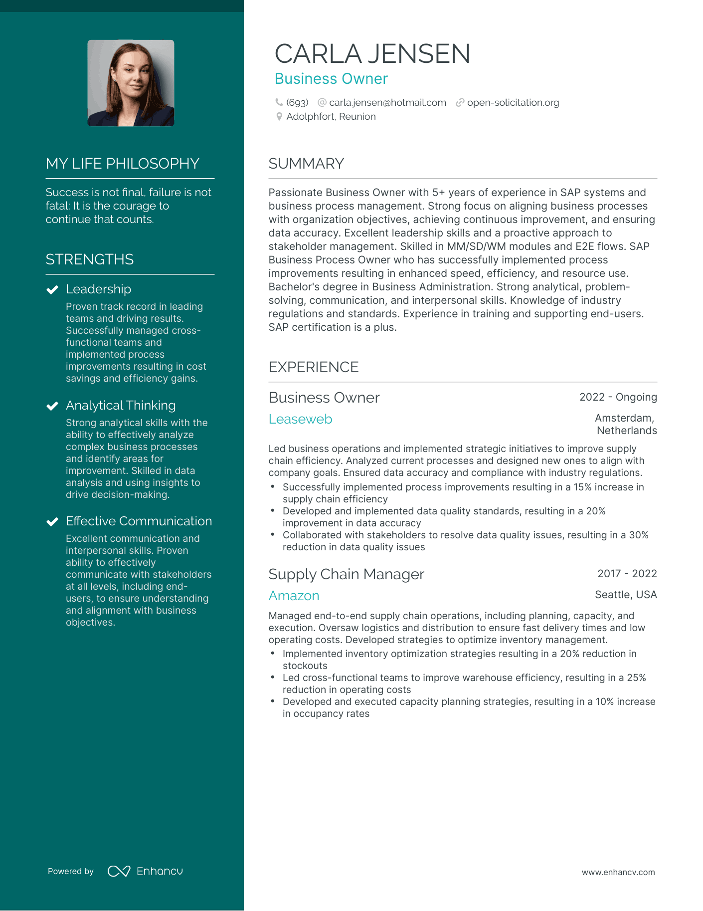 Business Owner resume example
