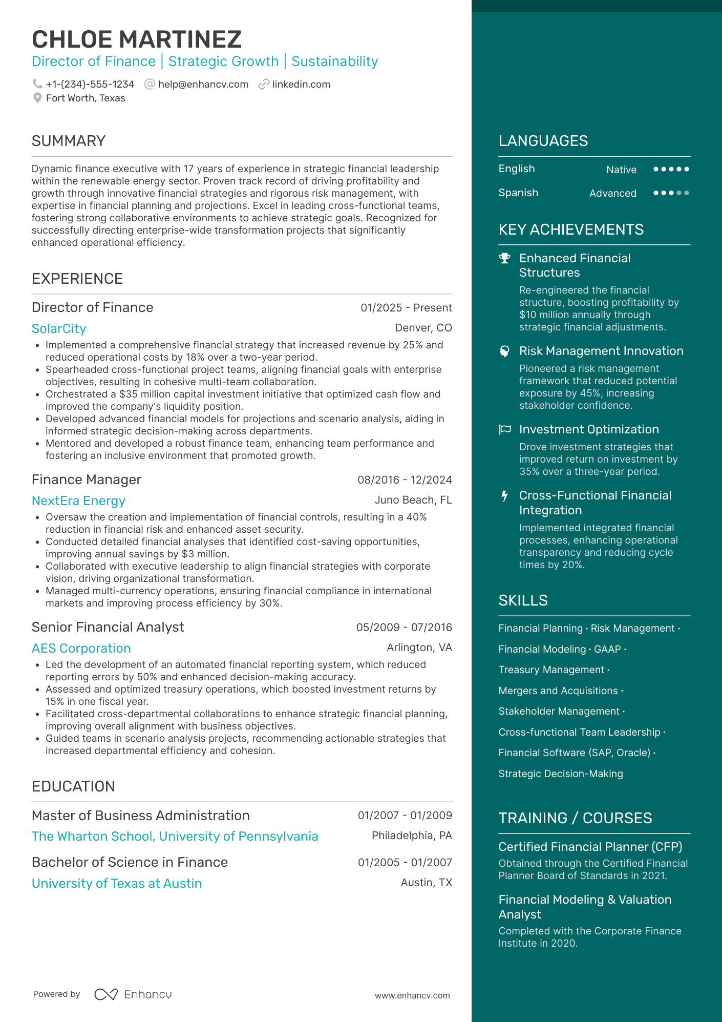Director of Finance resume example
